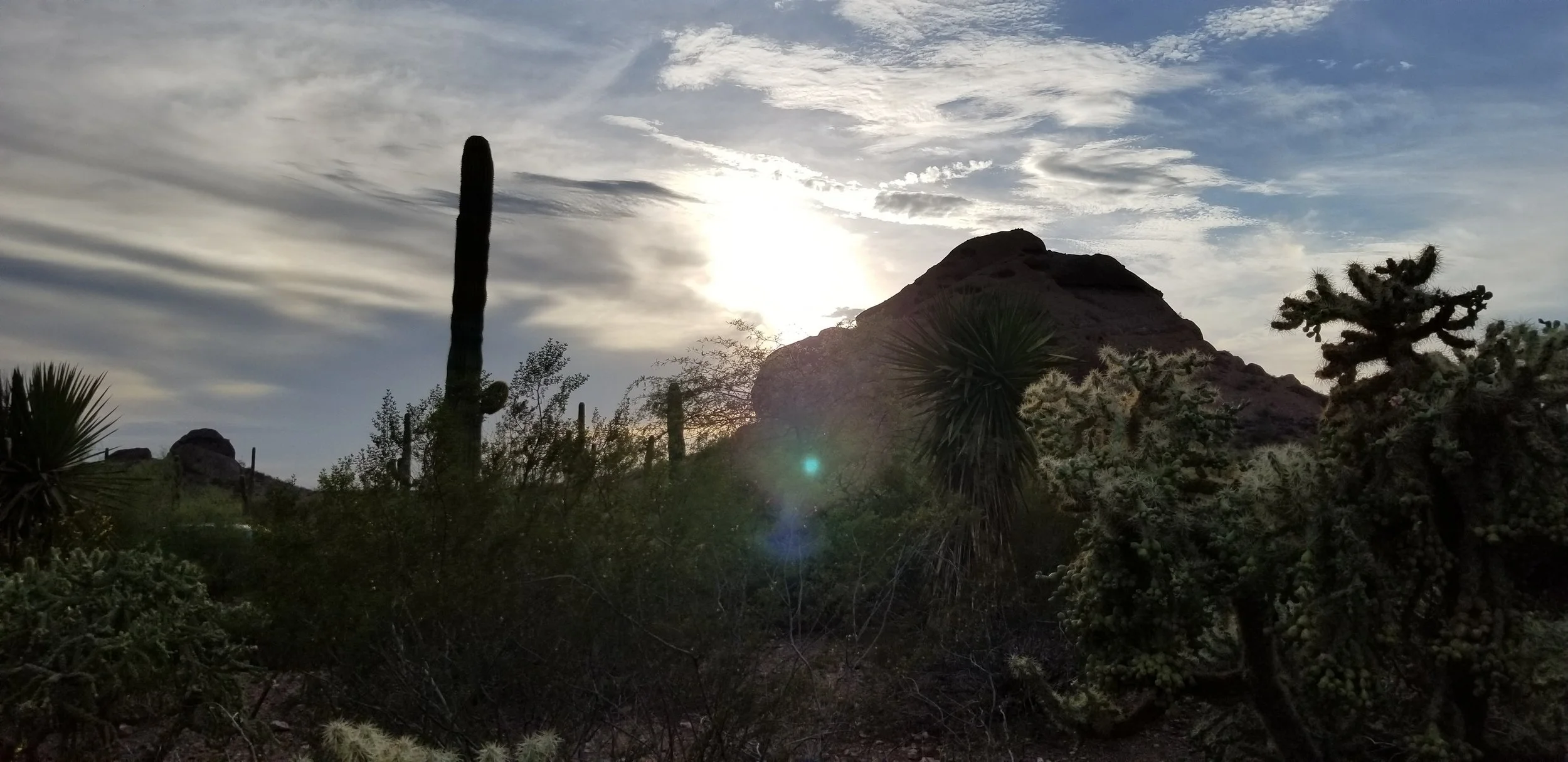 Arizona - Nearby Mountain