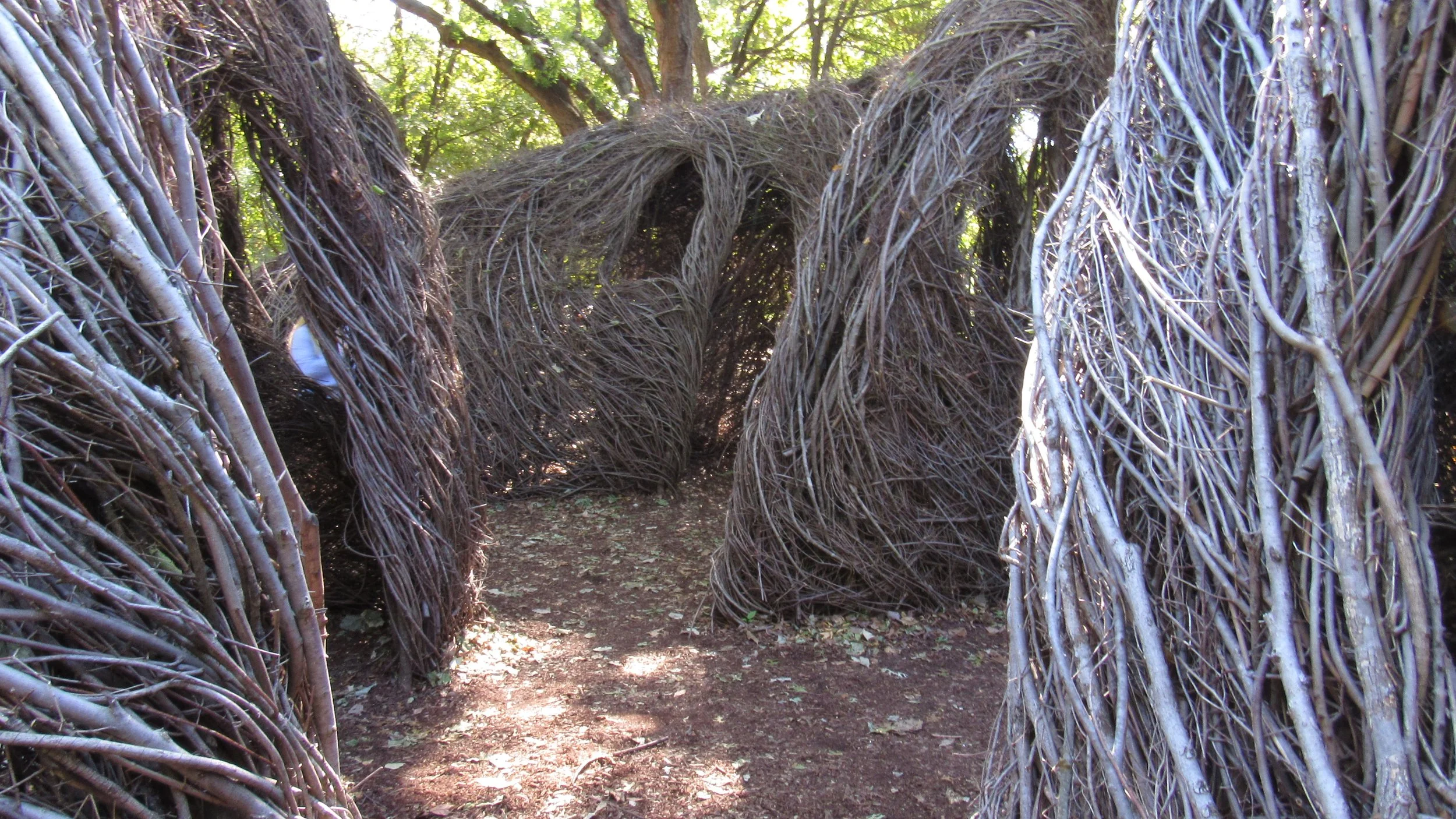 Botanic Gardens - Sticks