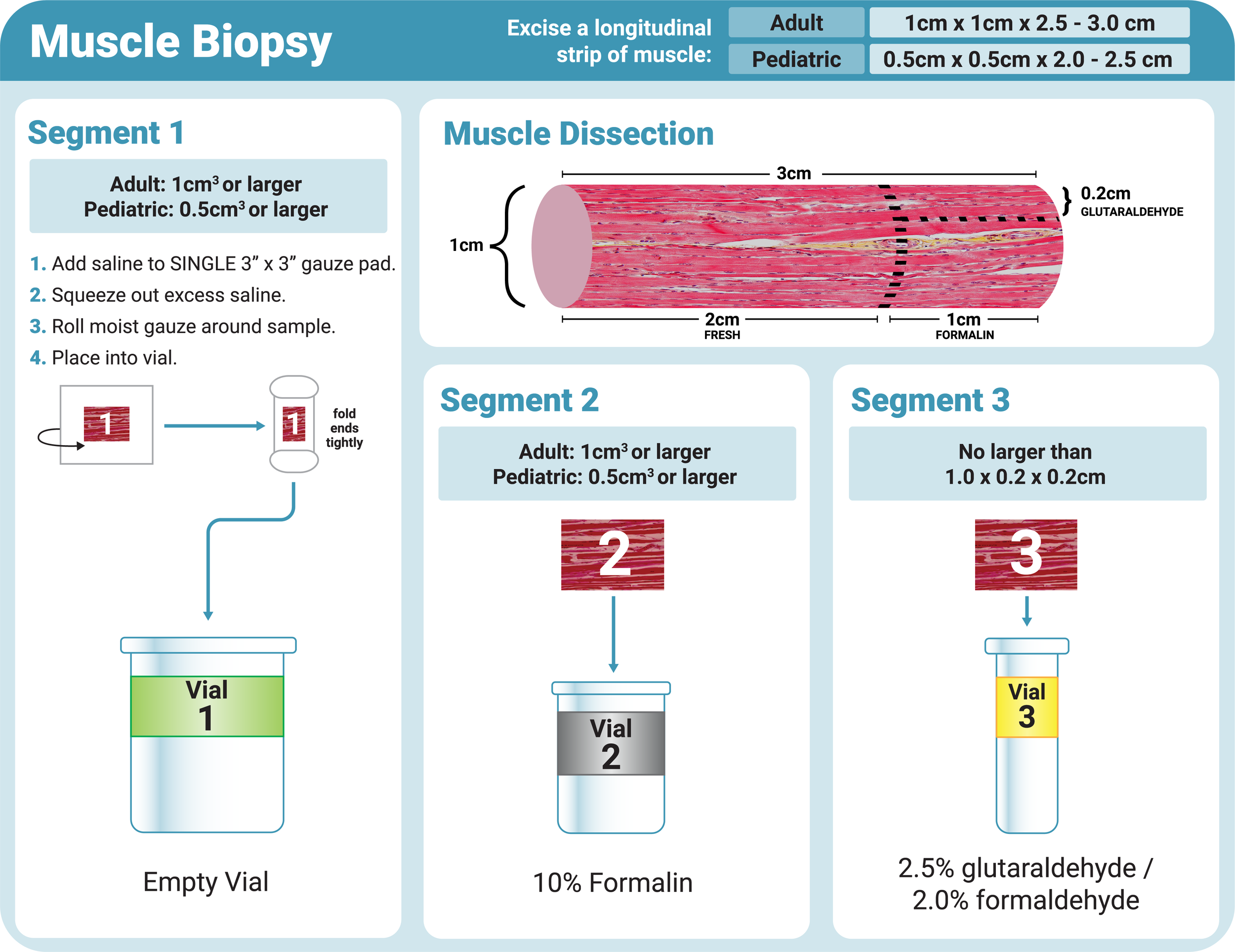 IDX Muscle Biopsy Card