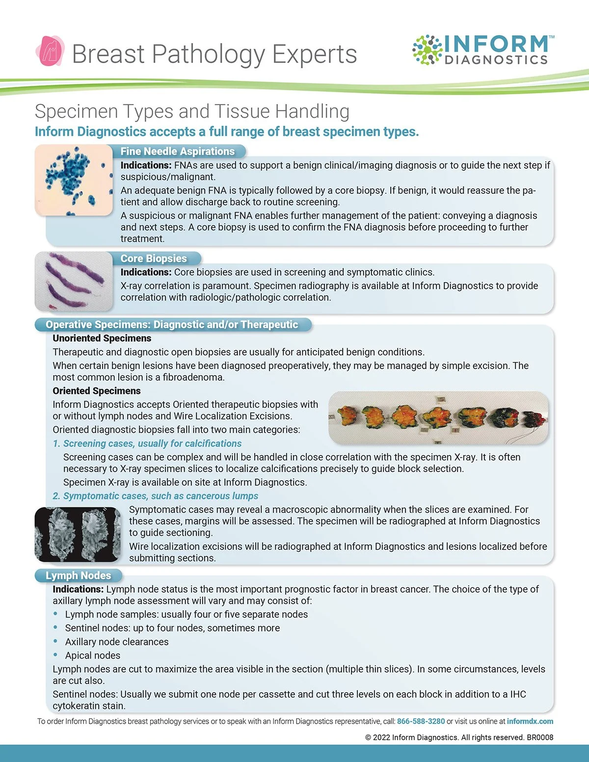 IDX Specimen Type Flyer