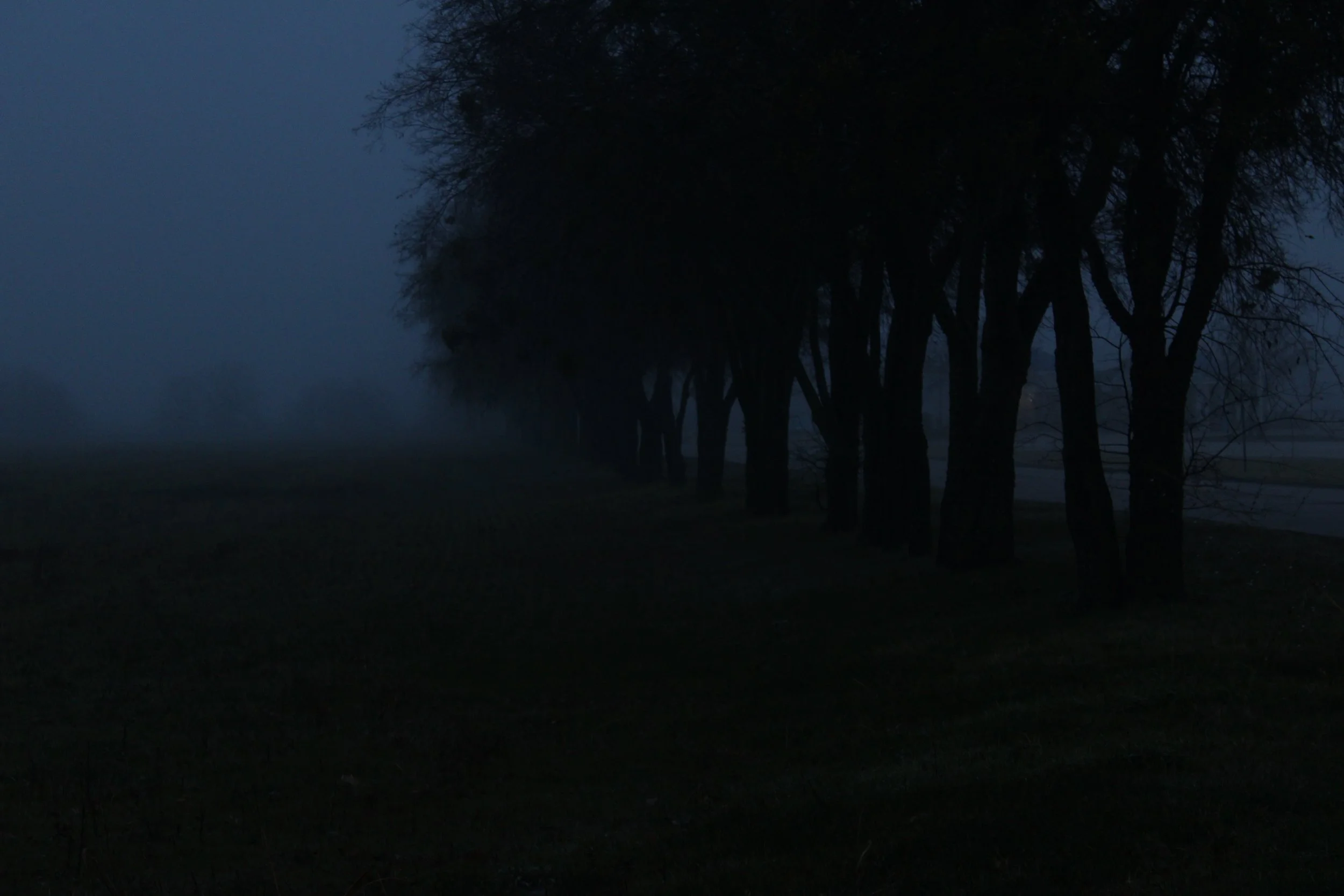 Roanoke - Fog