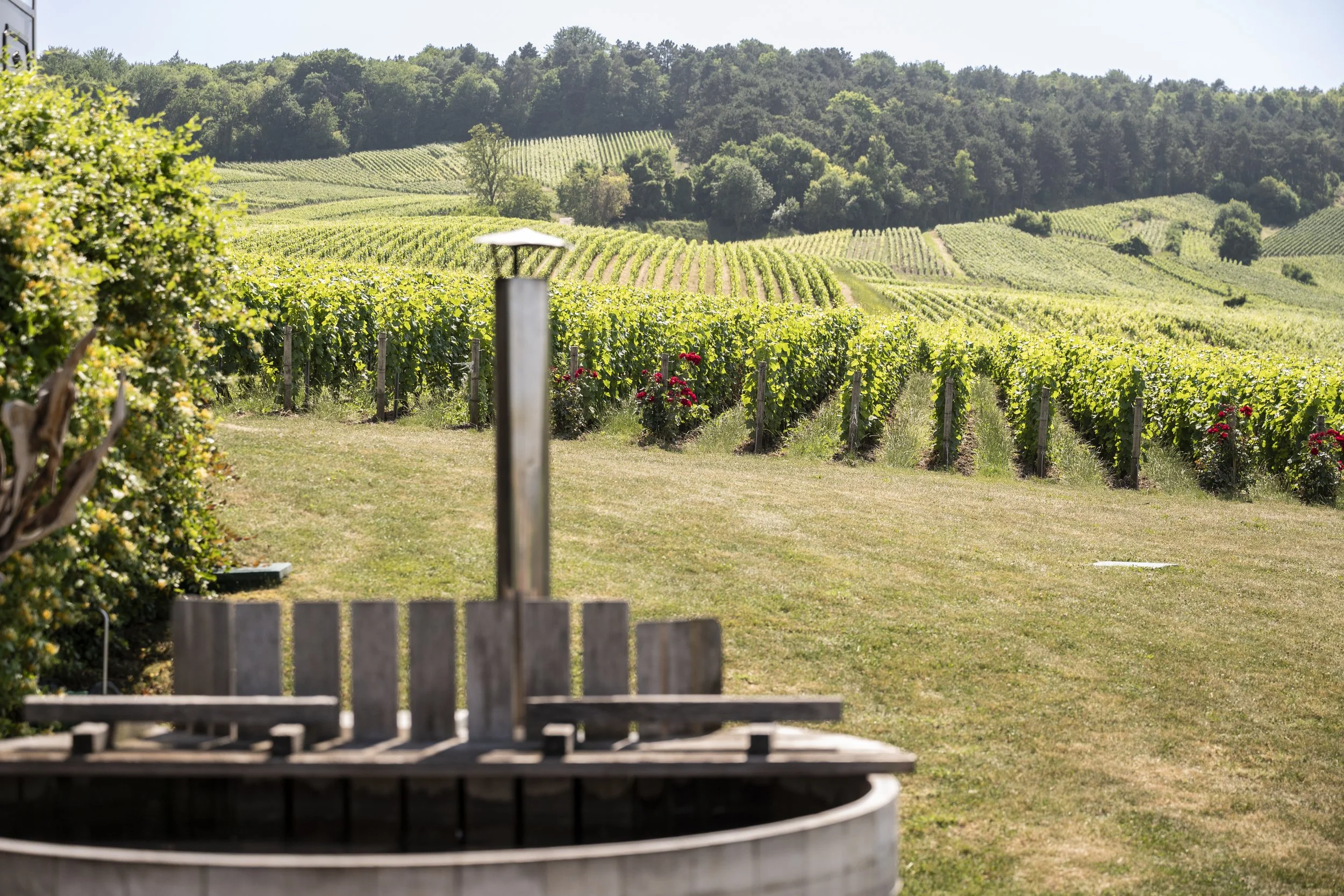 Sacy - Installer des bains norvégien dans les vignes.