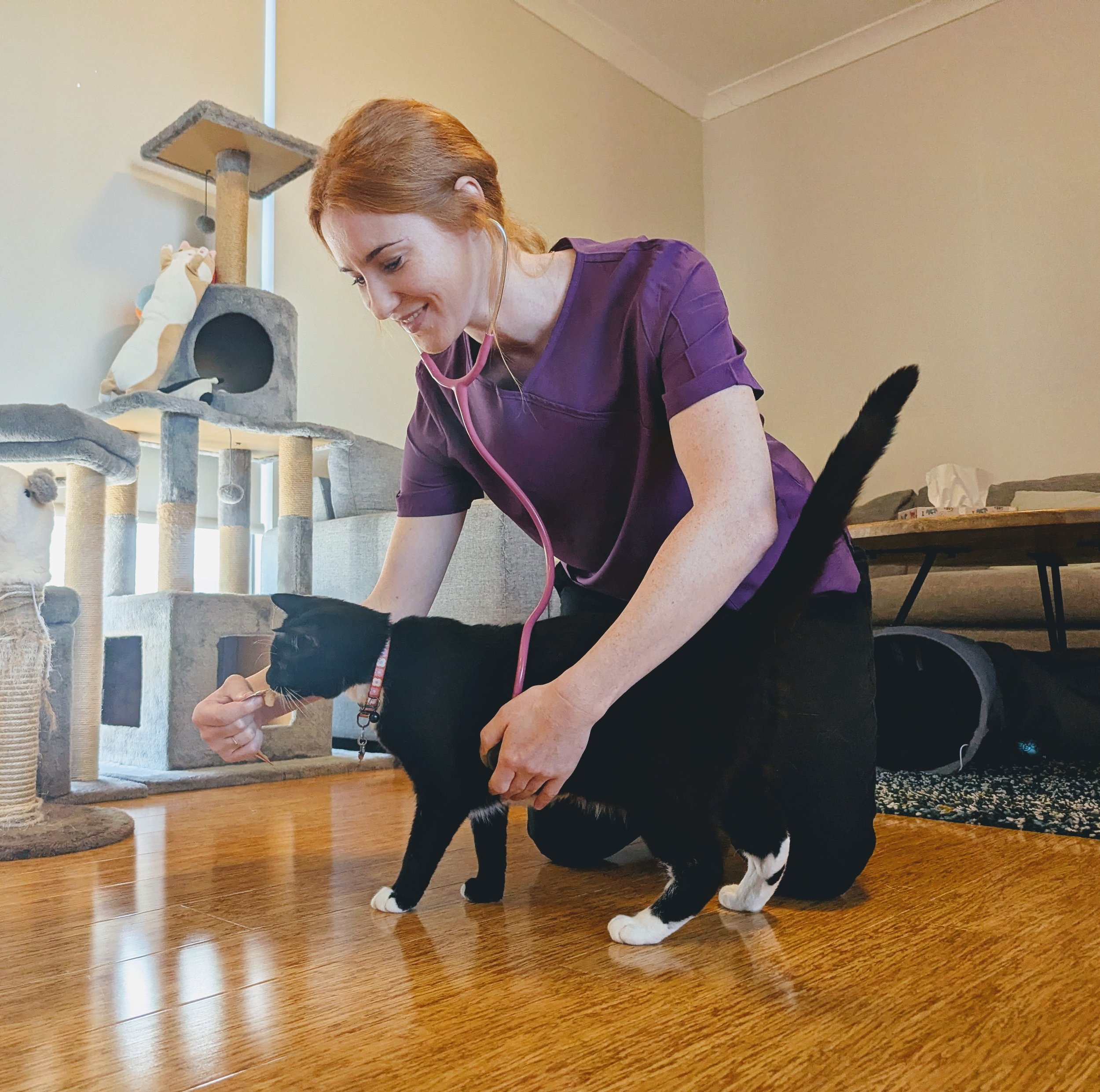 CAT HOME VET