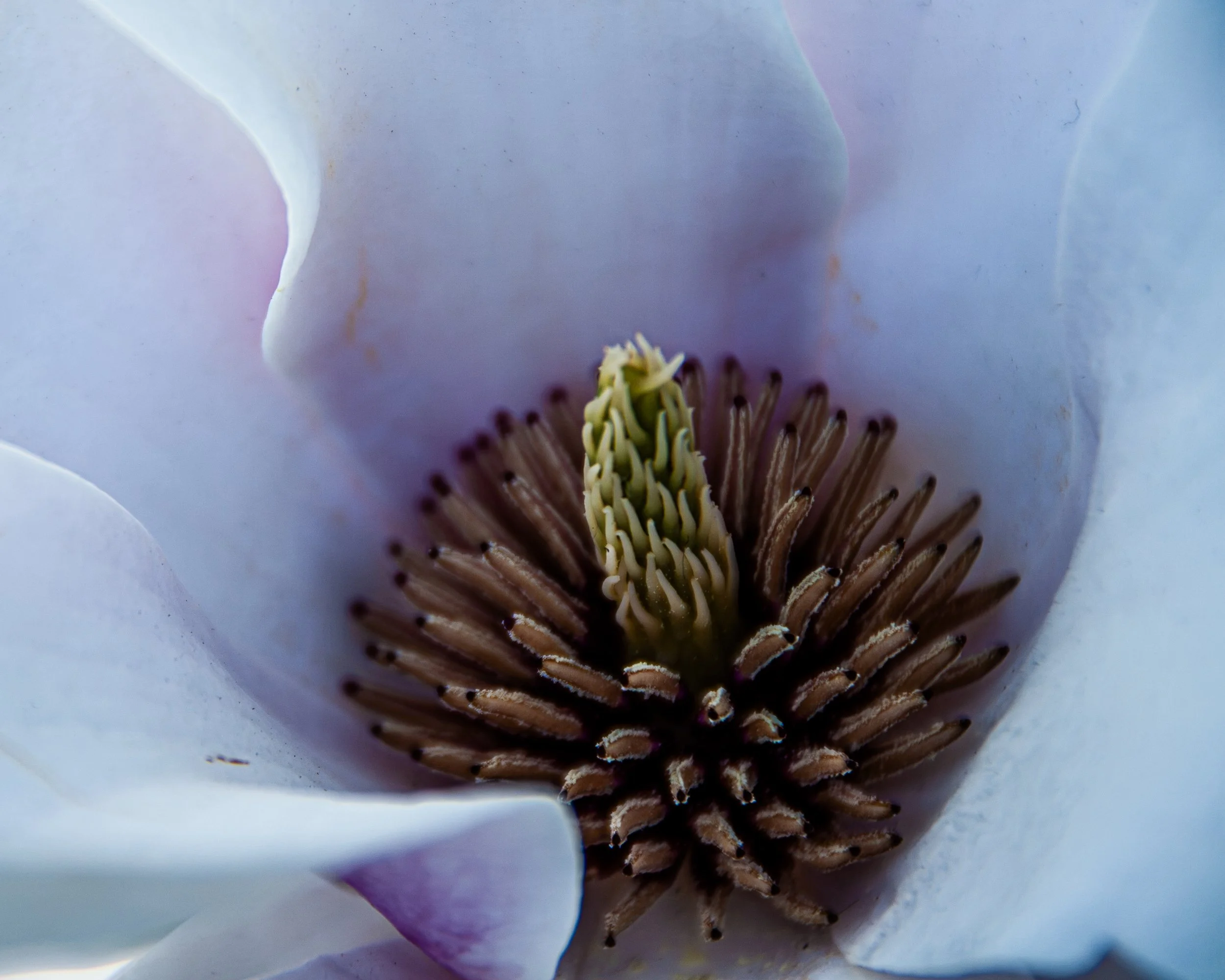 MISC-Nature-7.jpg