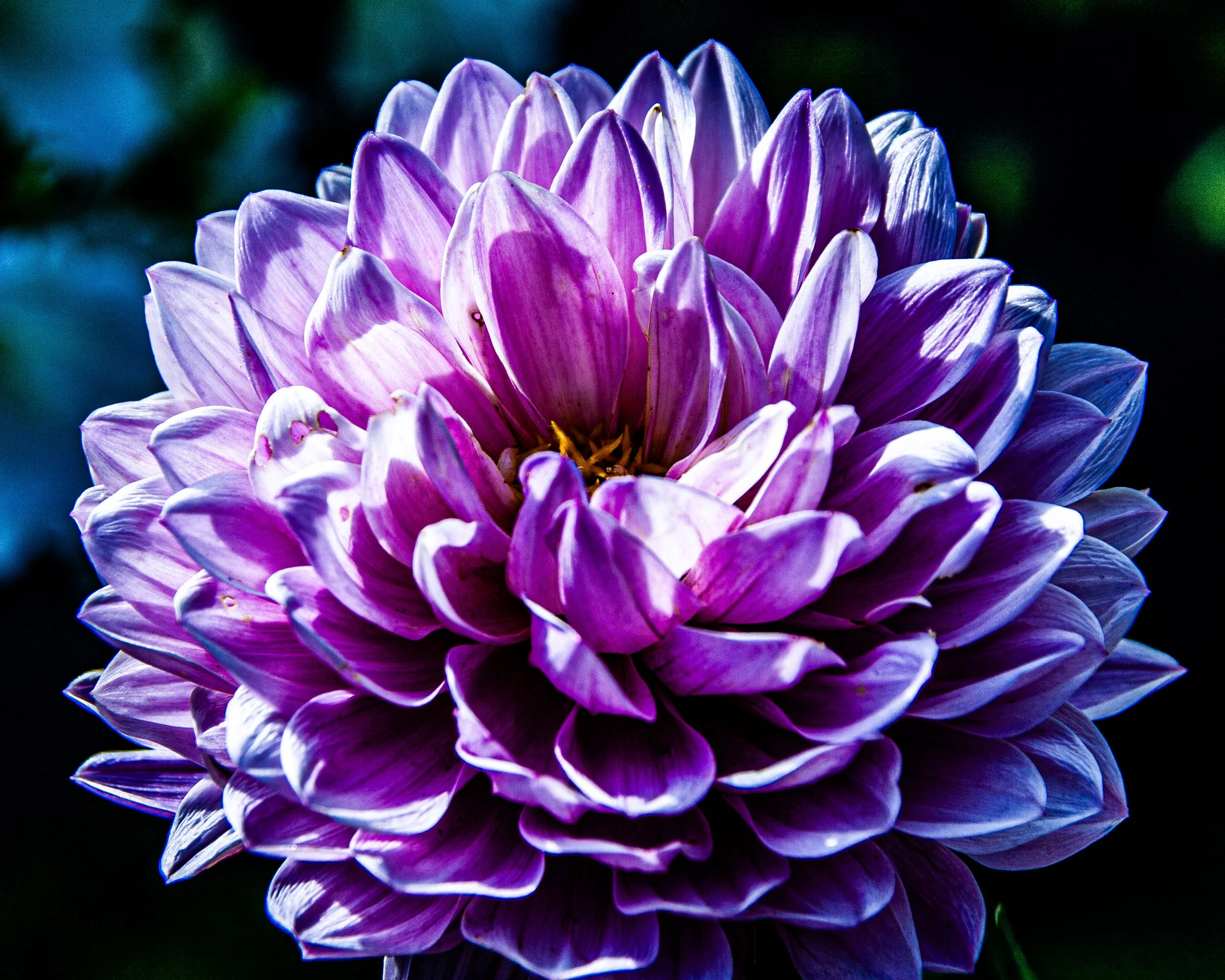 MISC-Nature-15.jpg