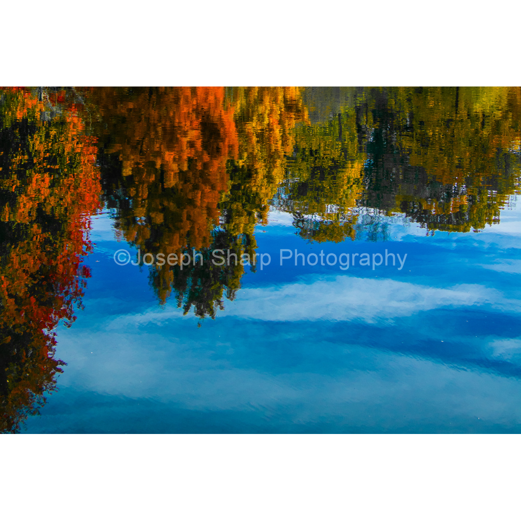 Greenwood Fall - Brooklyn (1)