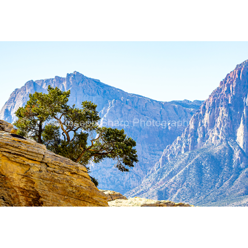 Red_Rock_Canyon-Printique-15