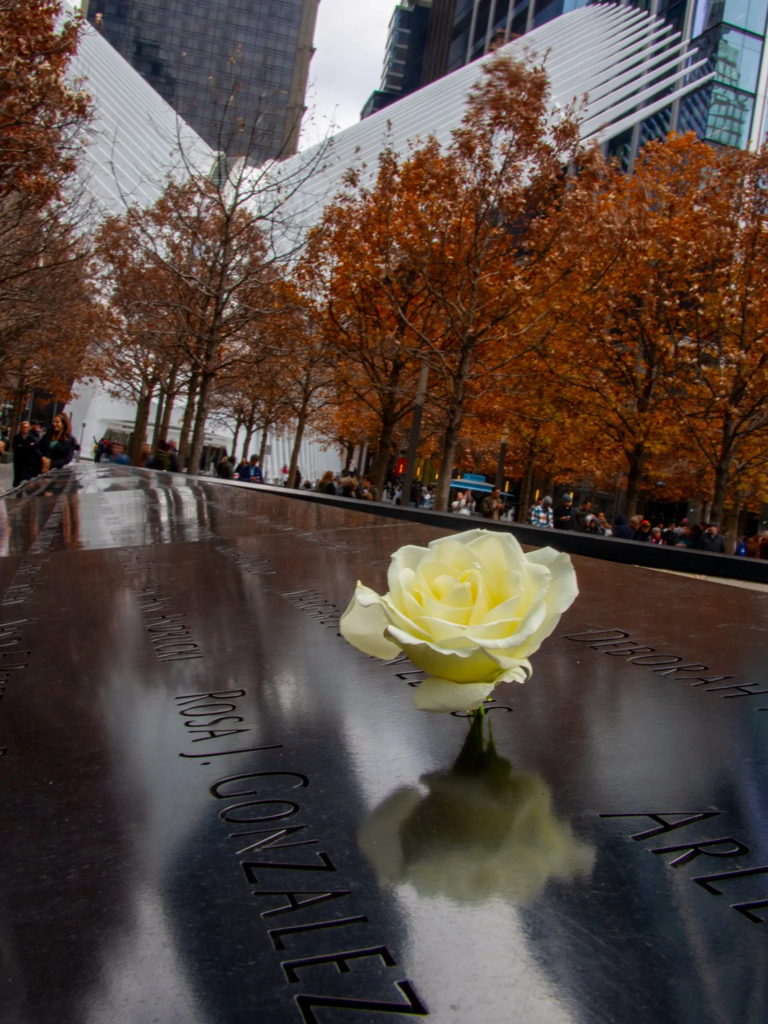  LR WorldTrade Photo Walk-2.jpg