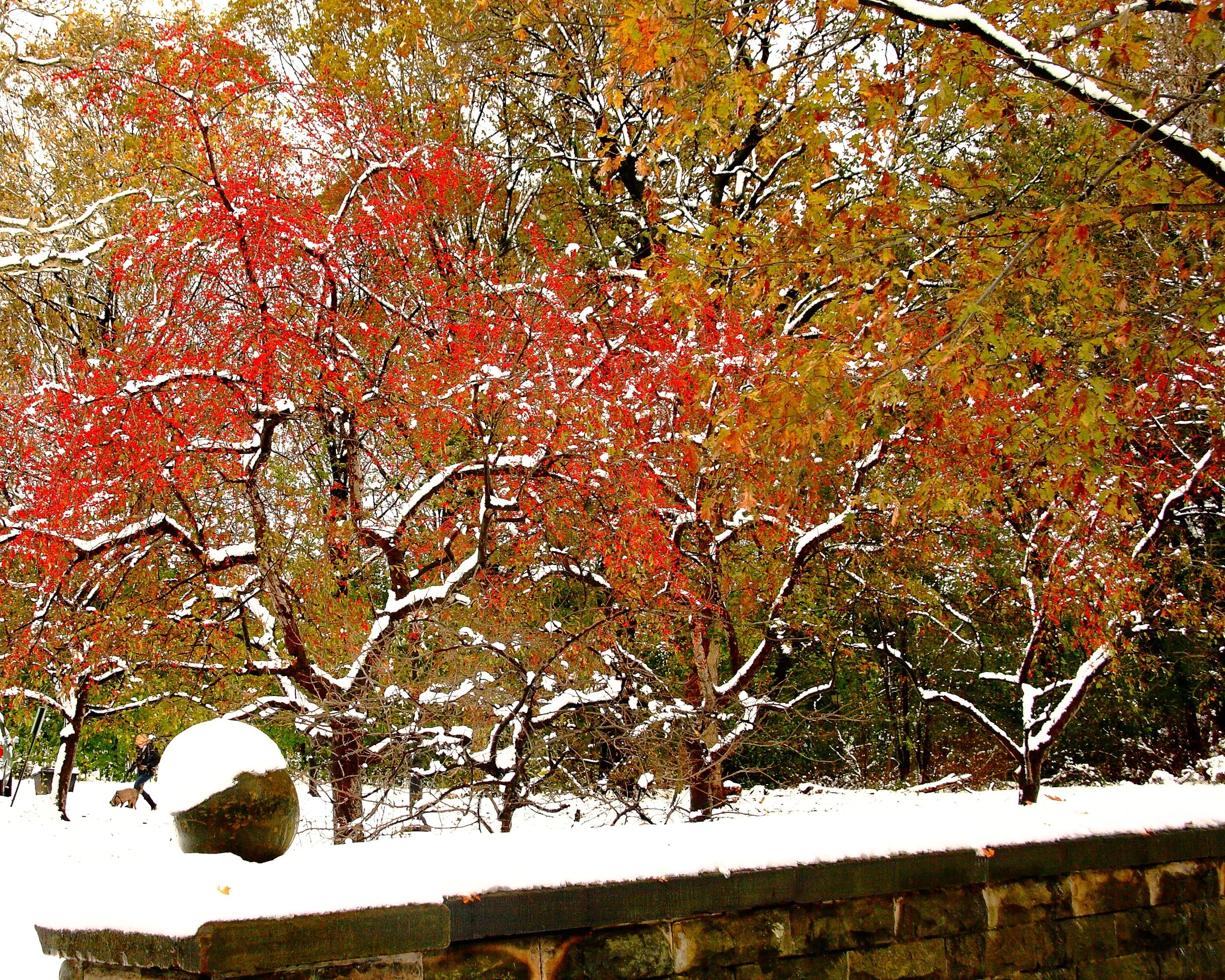 WinterWonderlandPPW.JPG