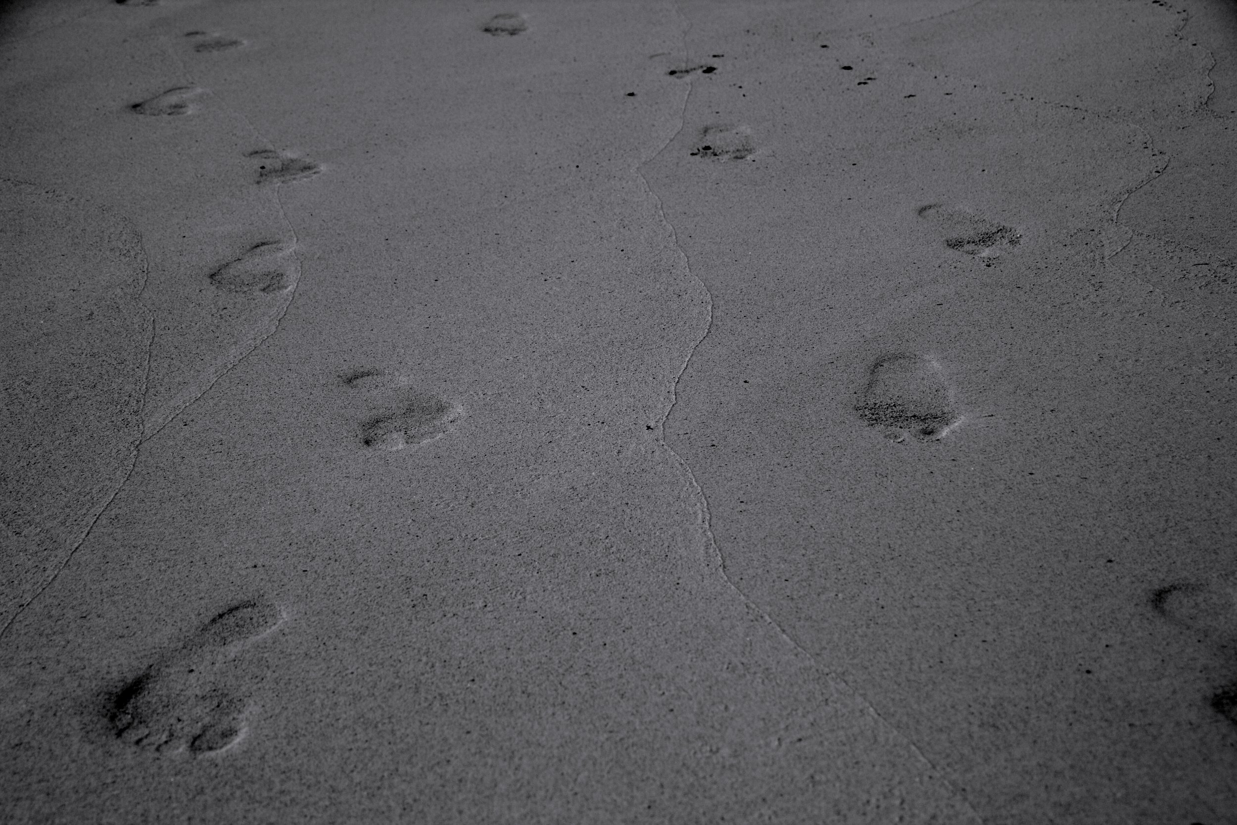 footprints in the sand (2).JPG