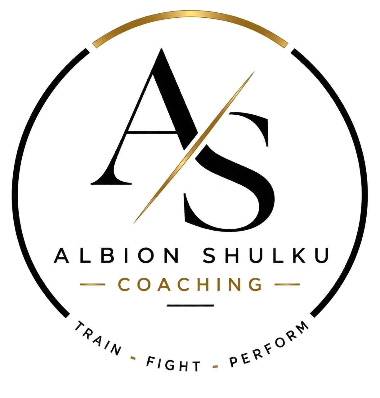 Logo Albion Shulku Coaching.