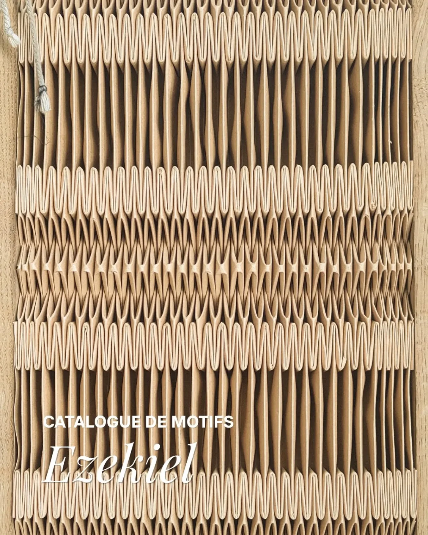 Catalogue de motifs

Chaque semaine, je vous d&eacute;voile un nouveau motif issu du catalogue de l'atelier. Une invitation &agrave; d&eacute;couvrir, au fil des semaines, la richesse des recherches et des possibilit&eacute;s autour du plissage ✨️ 
_