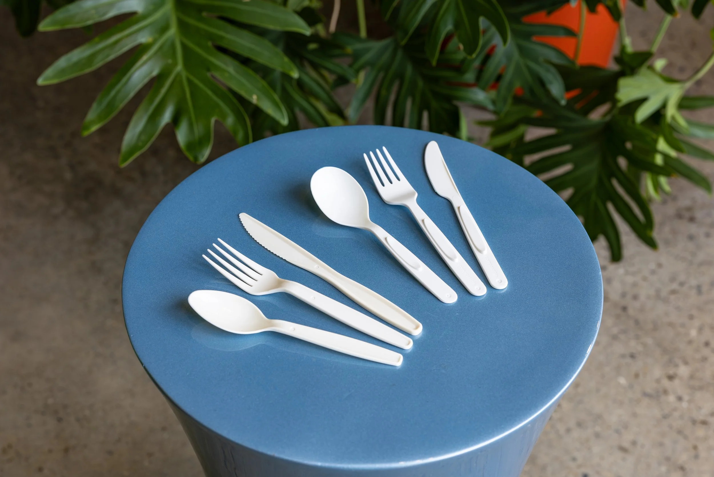 Terravive compostable foodservice forks, knives, and spoons