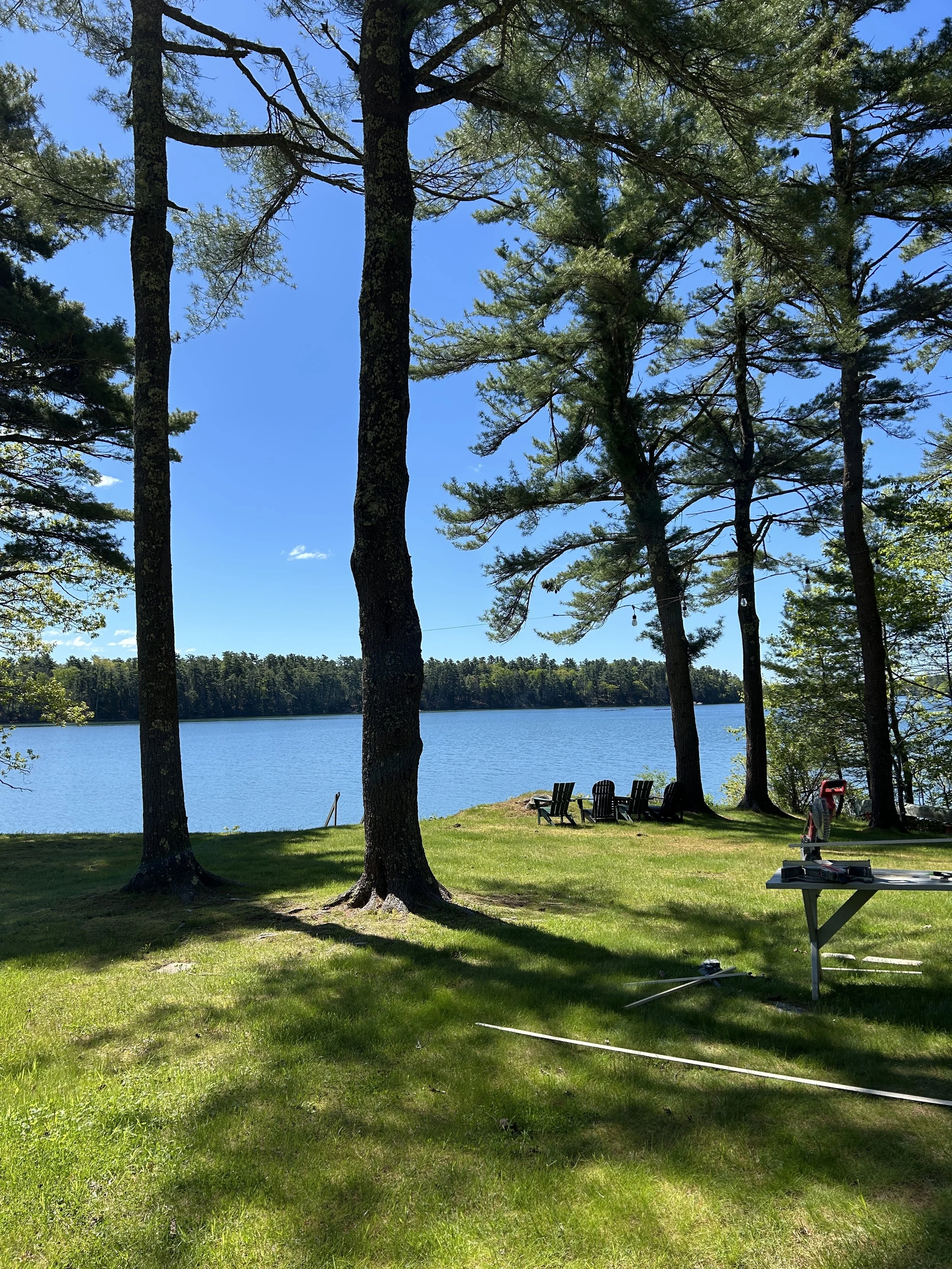 A peaceful lakeside scene with tall green trees view from the grassy shore, blue lake, and sky, with some outdoor chairs and a work table with tools.