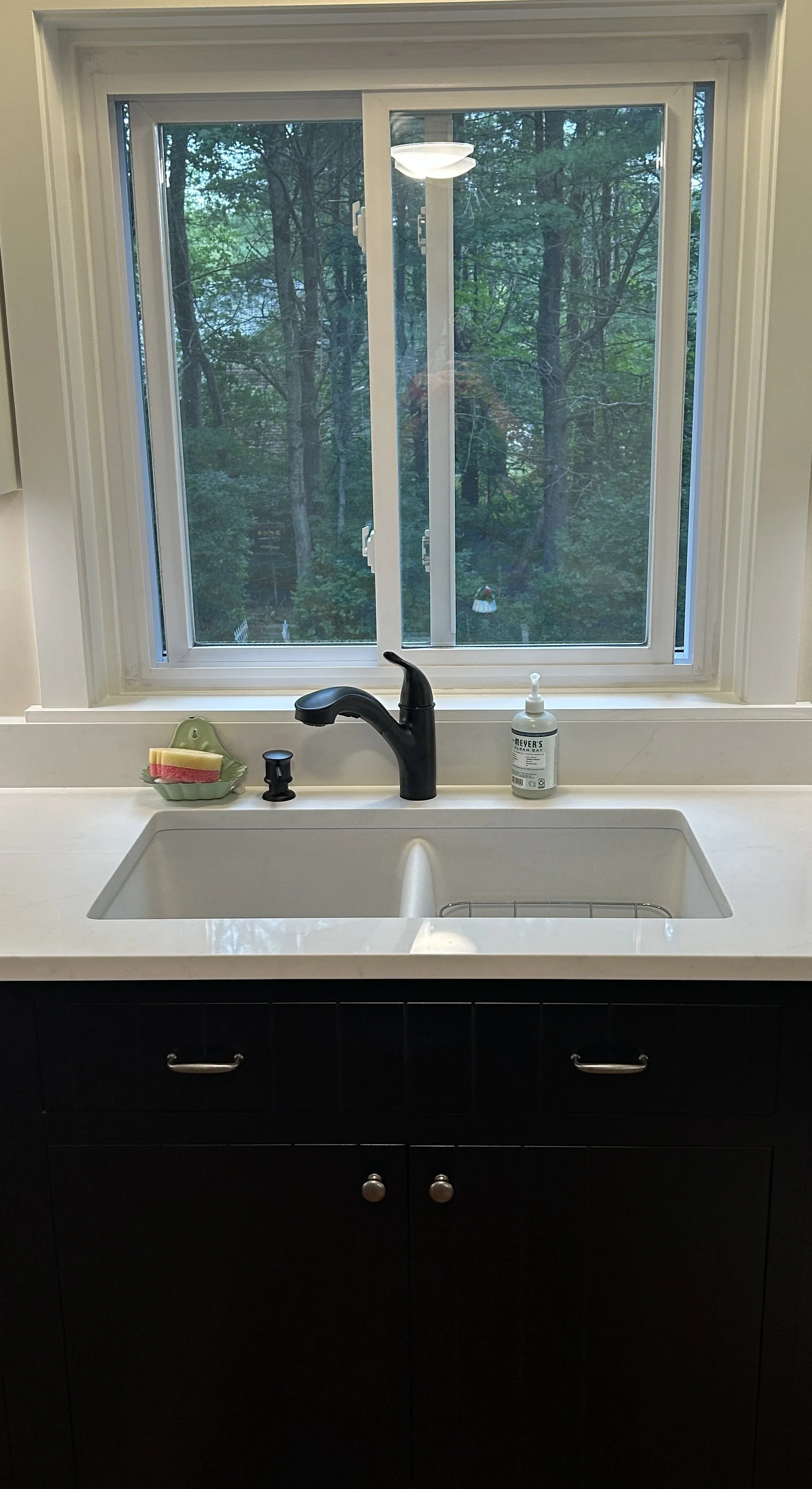 Kitchen sink with black faucet, dish soap, sponges, and a window showing a wooded outdoor scene.