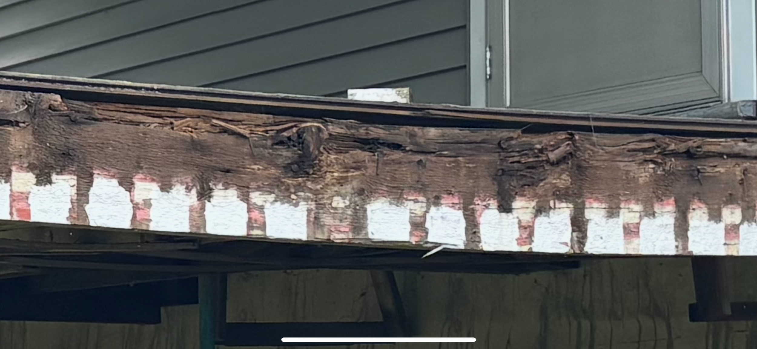 Close-up of a weathered wooden ledge with peeling white paint, with a background of green siding and a window.