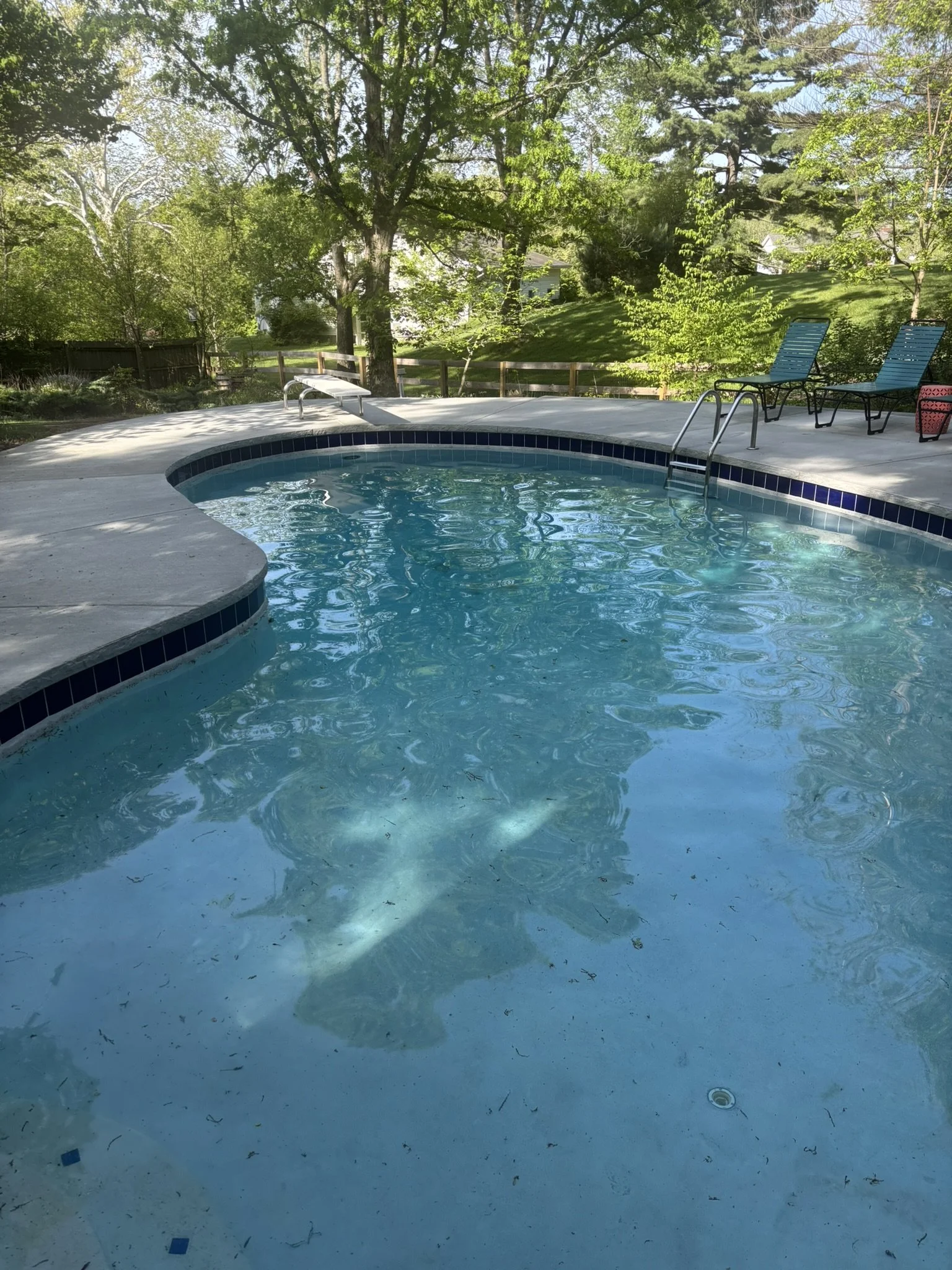 Residential backyard swimming pool surrounded by trees and lounge chairs on a sunny day.
