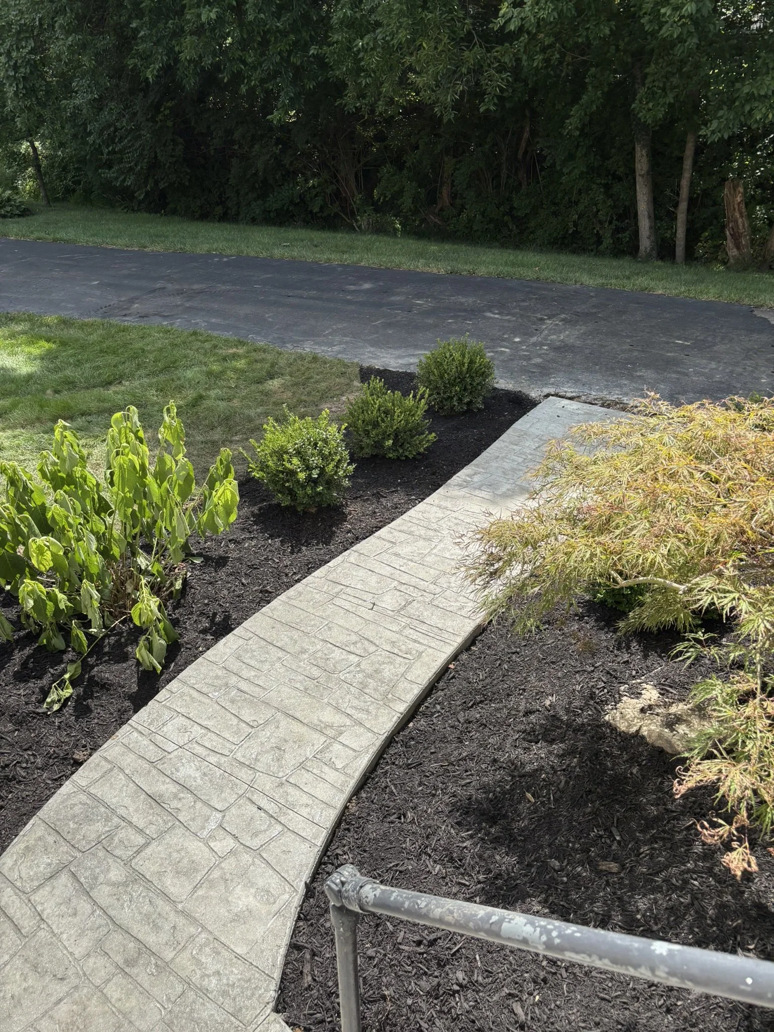 A concrete sidewalk next to a newly landscaped garden bed with small green bushes and mulch, with a black asphalt driveway and a wooded area in the background.