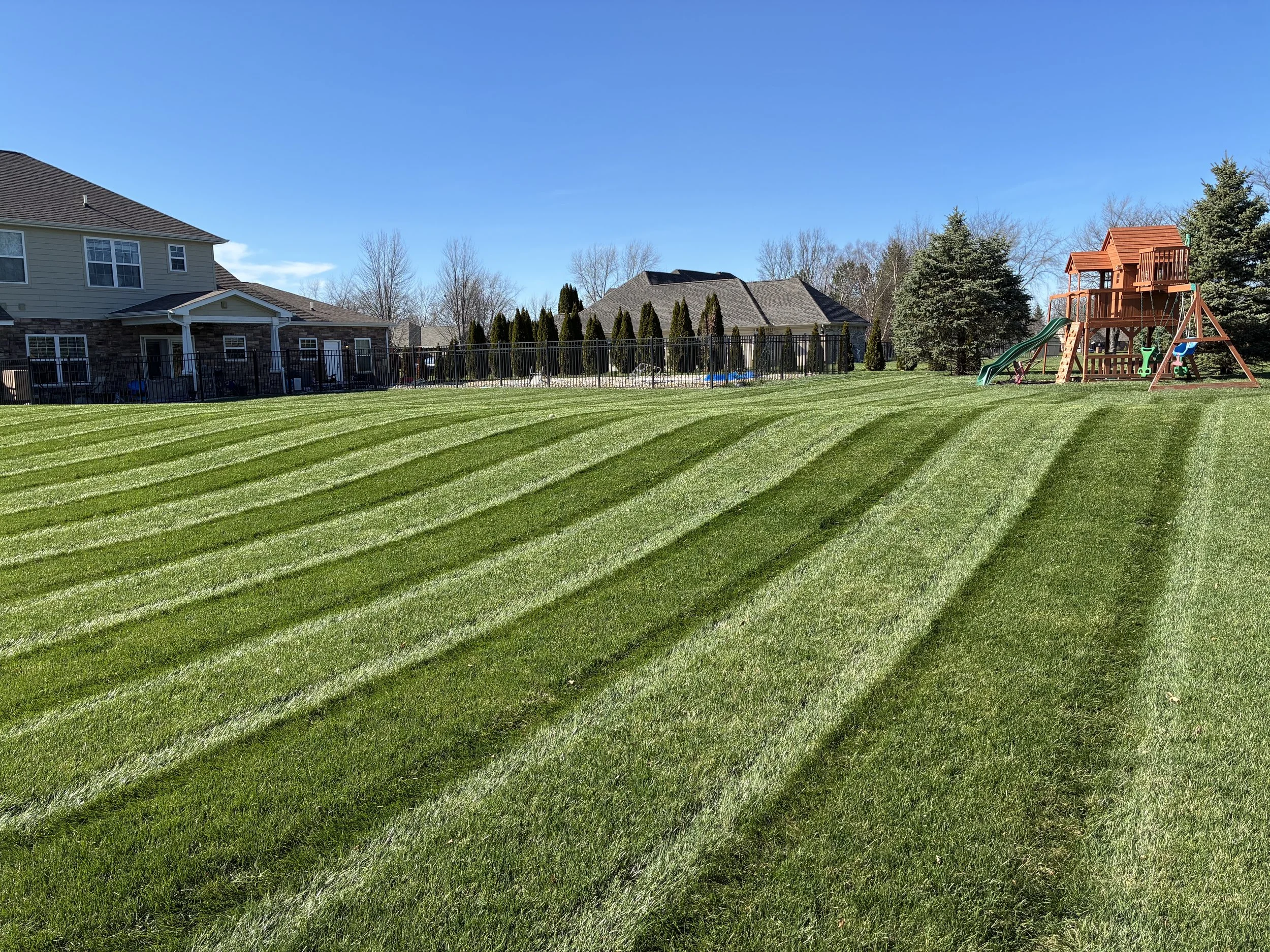 A backyard with a well-manicured, striped lawn, a black metal fence, several houses in the background, a wooden playset with slides, and tall trees under a clear blue sky.