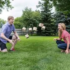 Giant Dice Yard Game