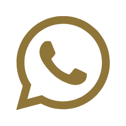 WhatsApp logo with a brown outline.