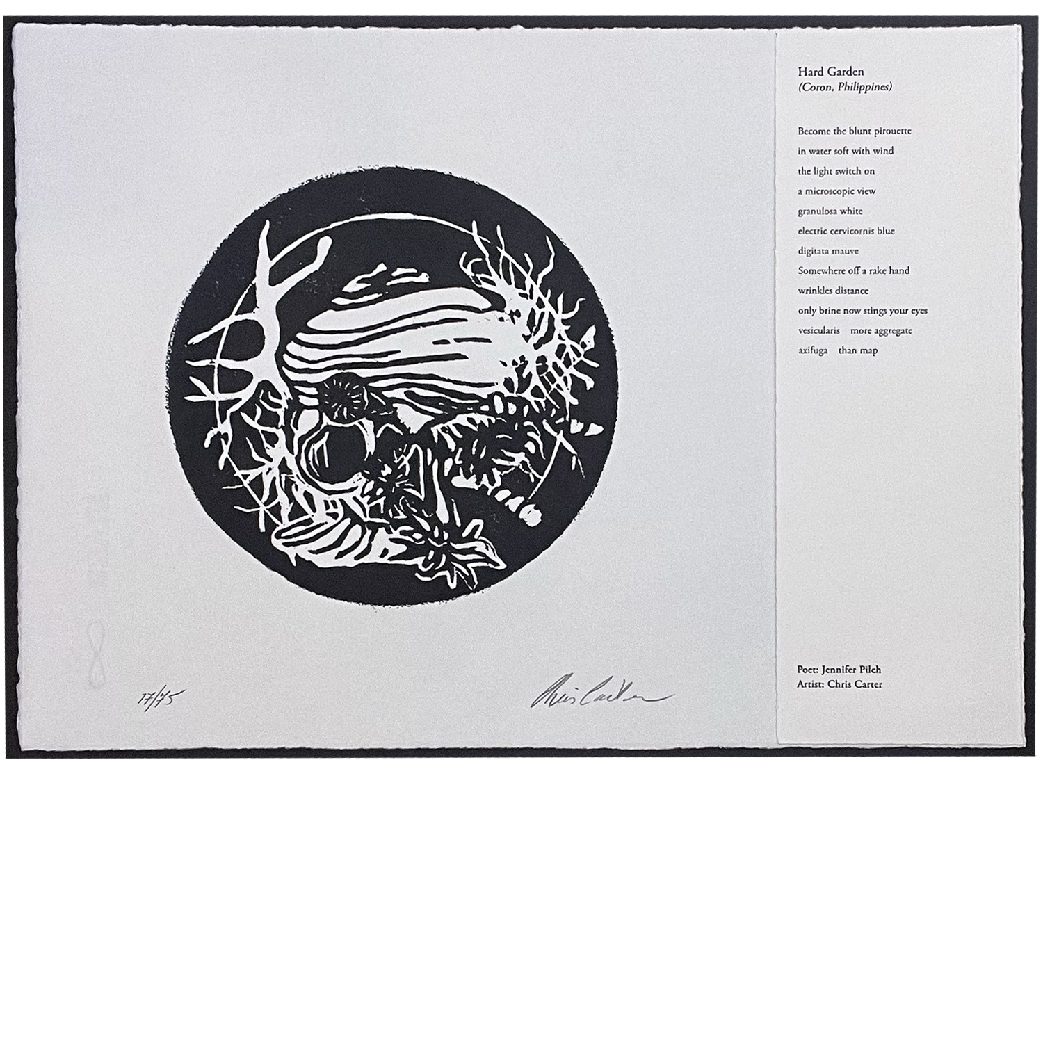 18 Chris Carter • Jennifer Pilch.png (Copy)