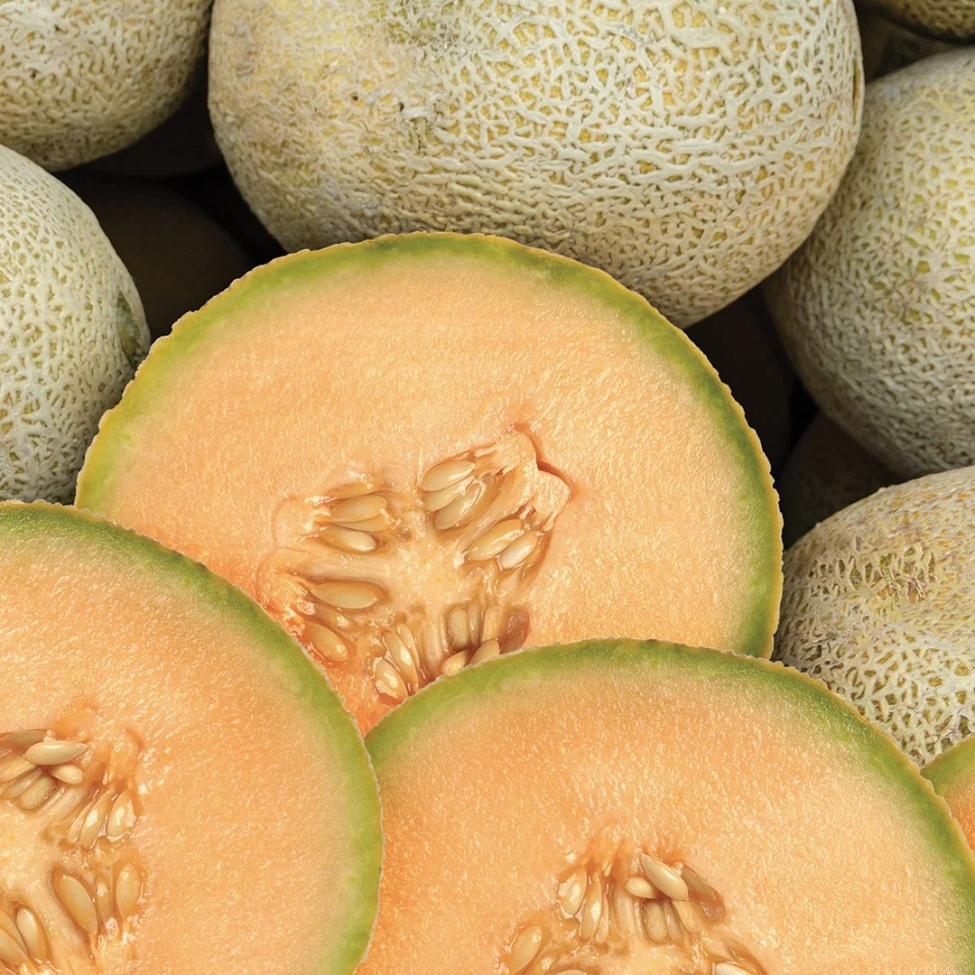 MELON.jpg (Copy)