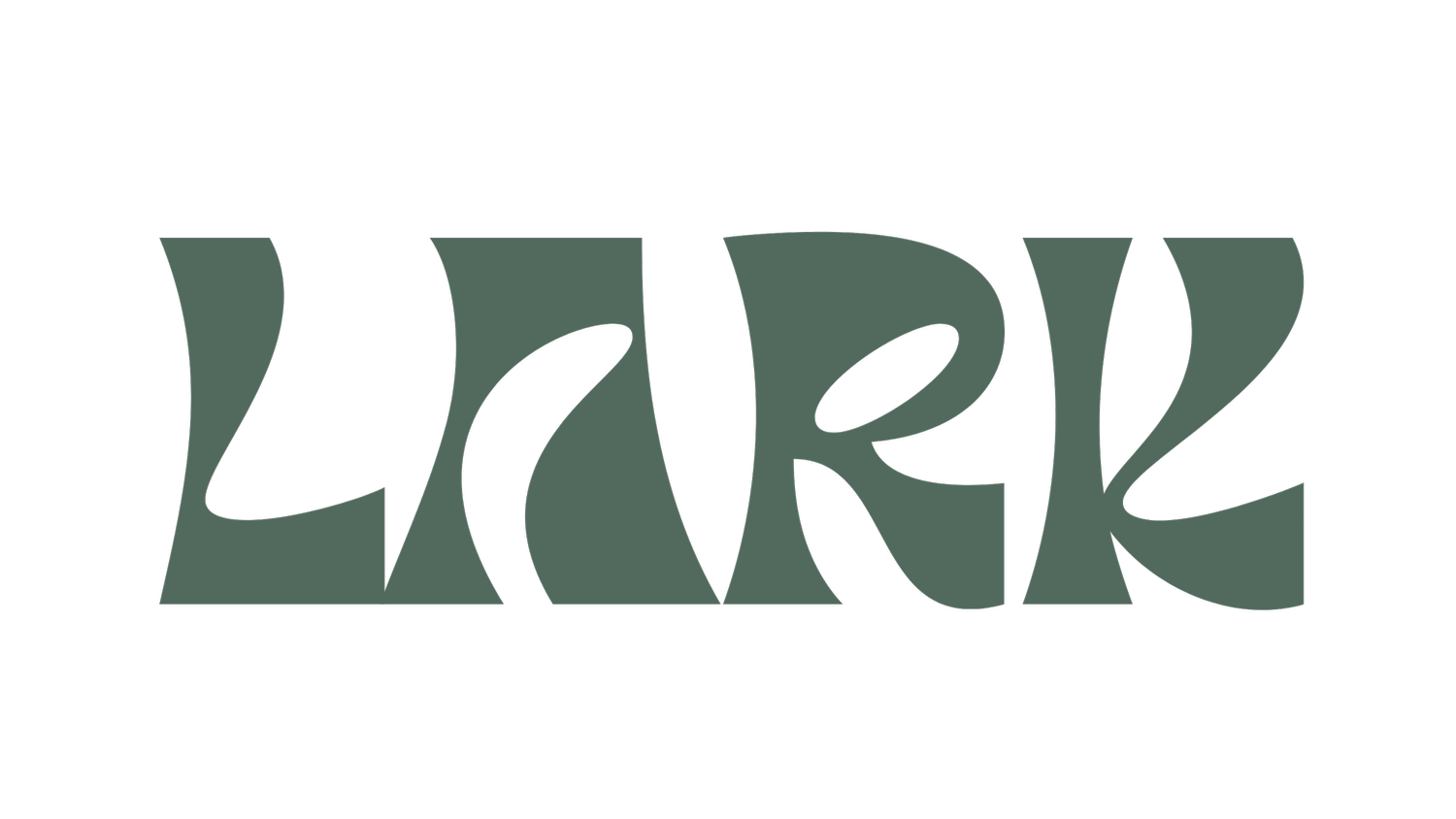Lark Run Club