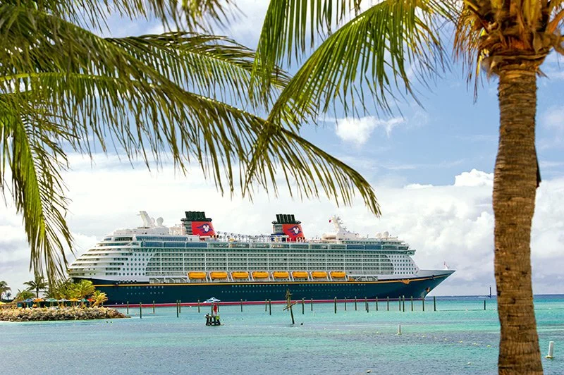 Large Disney cruise ship docked in a tropical port, with palm trees and clear turquoise waters in the foreground.