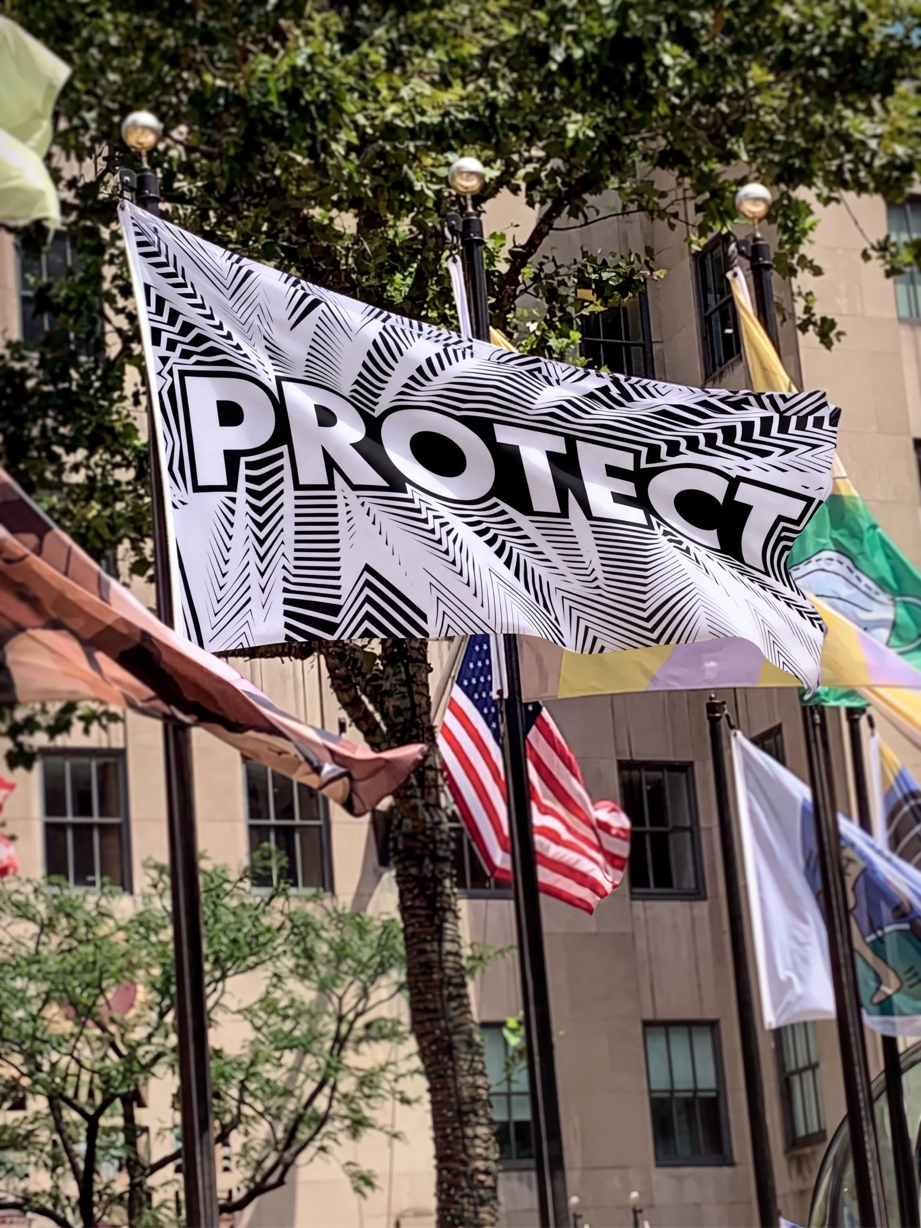 PROTECT FLAG / JENNY HOLZER / ROCKEFELLER CENTER, NEW YORK, NEW YORK / FINE ART / 2020
