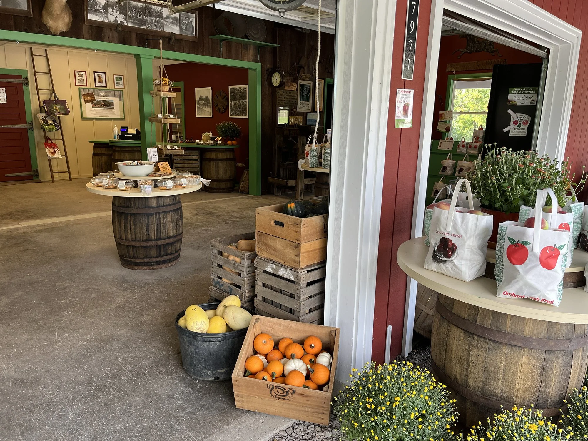 Farmer's market stand offering gourds, pumpkins, and potted flowering plants, with rustic decor and framed photos on the wall.