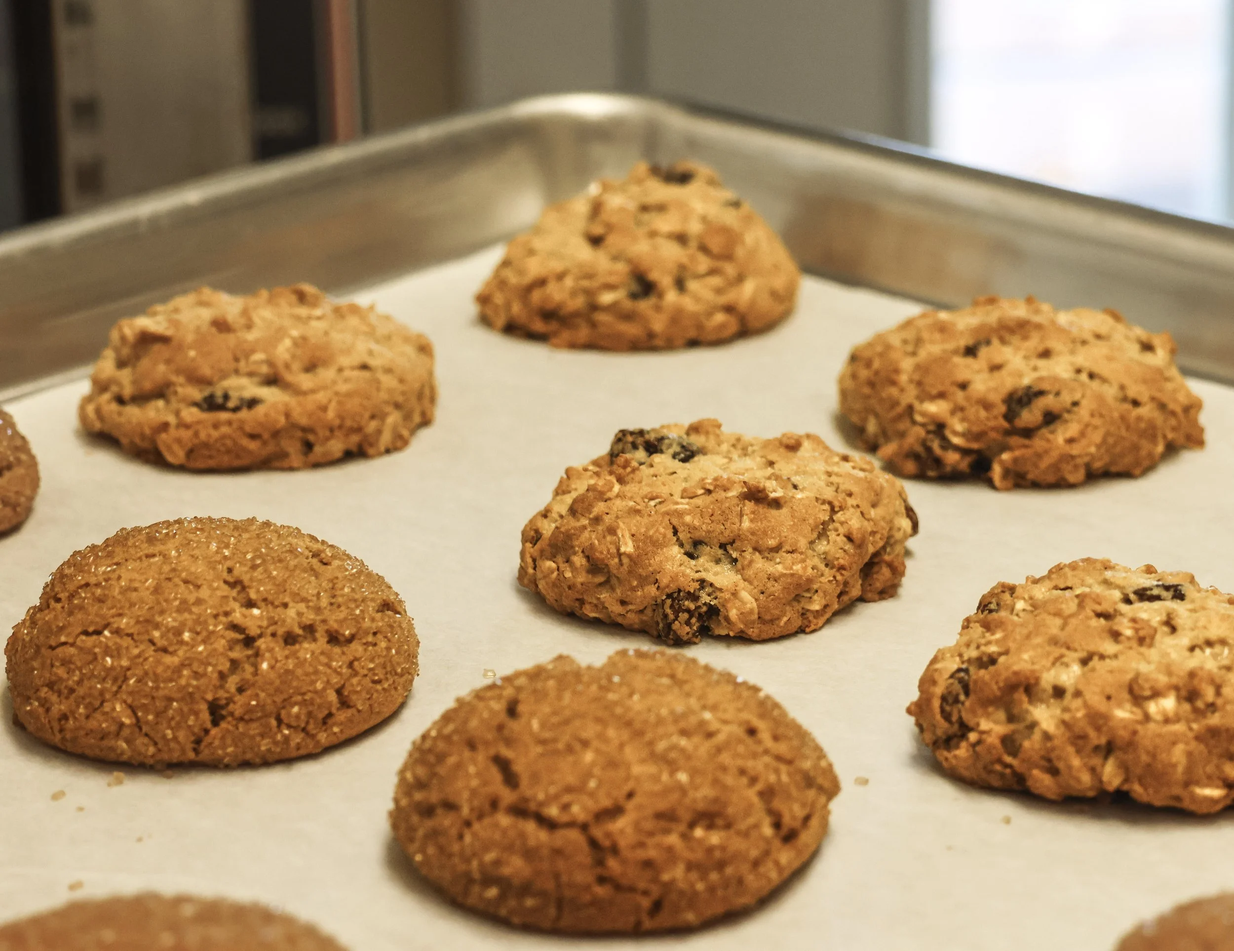Close-up view of homemade oatmeal raisin cookies on a baking sheet.