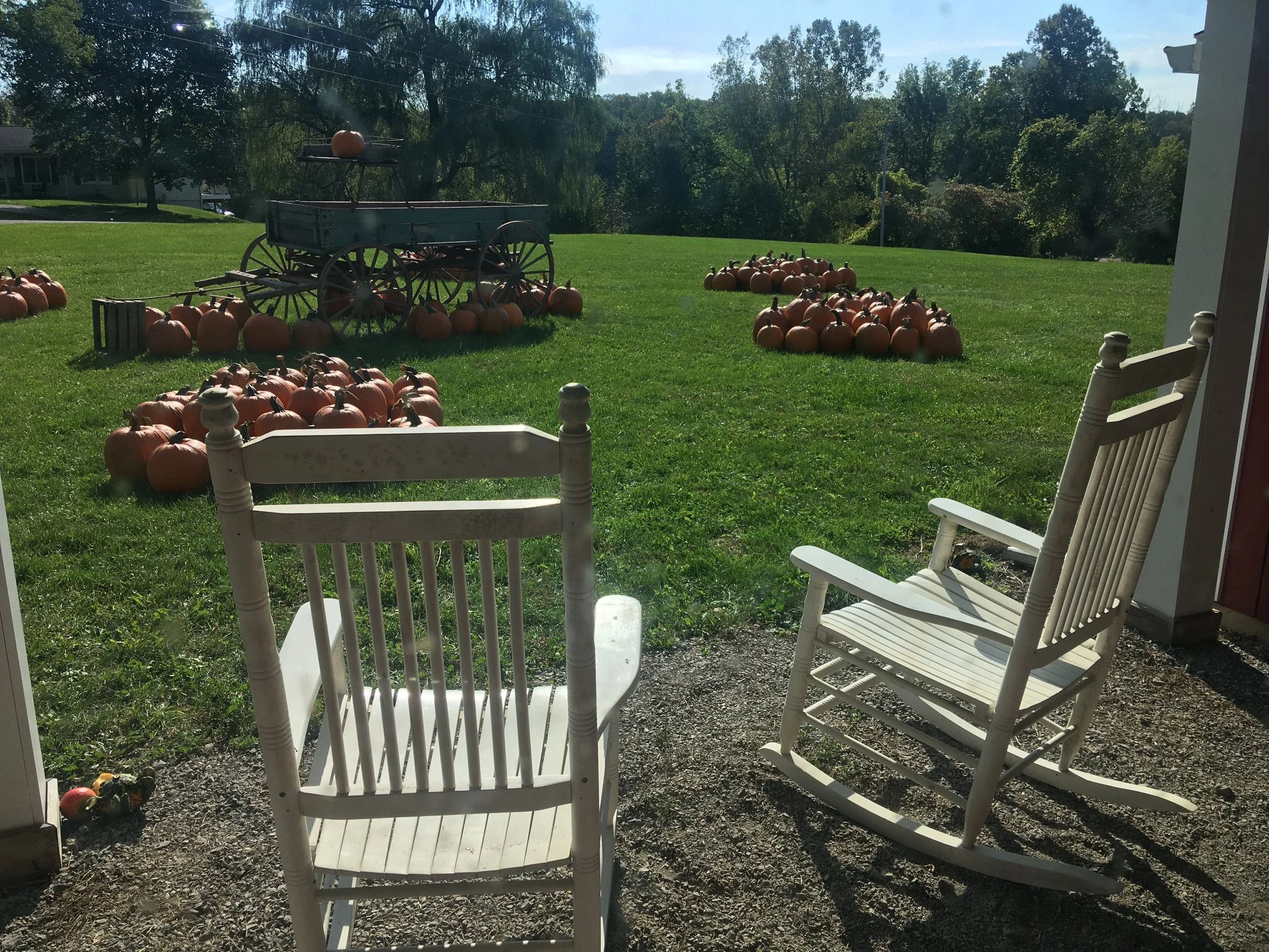 View from inside a house looking out onto a front yard with a red barn, multiple pumpkins, and a vintage wagon. There are outdoor chairs in the foreground and trees in the background.