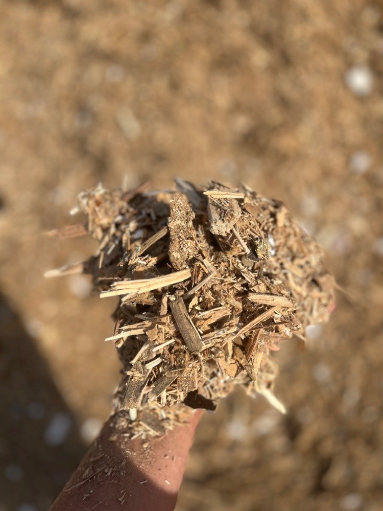Close-up of a handful of dry dirt and small wood chips held by a person's finger, with a sandy ground background.