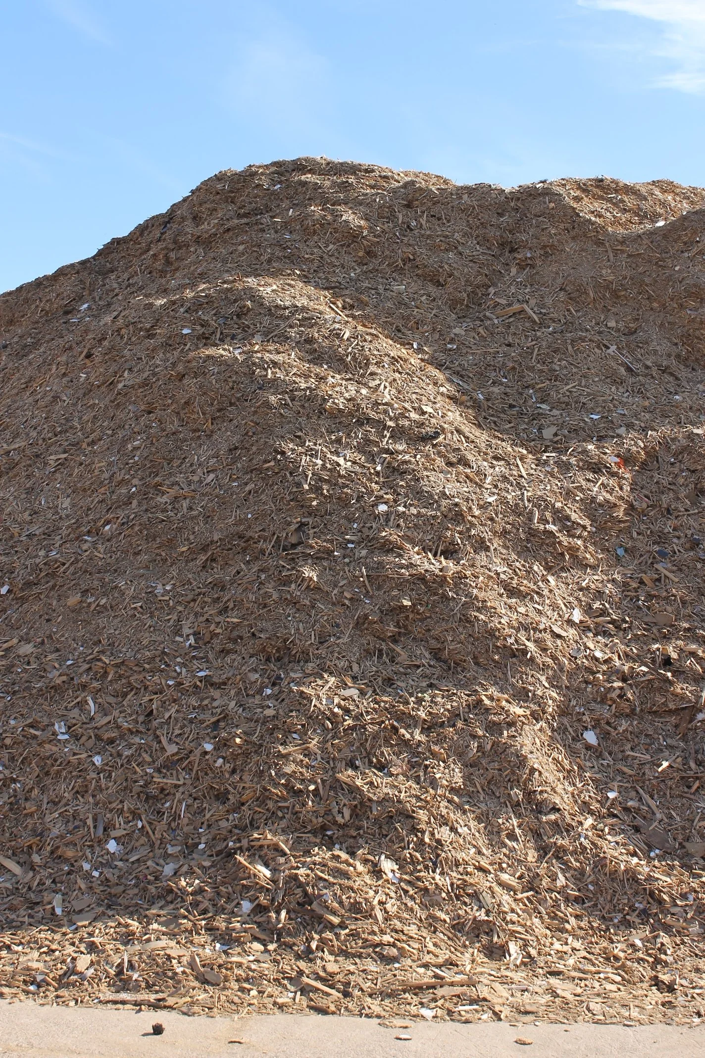 Large pile of wood chips and debris outdoors under a blue sky.