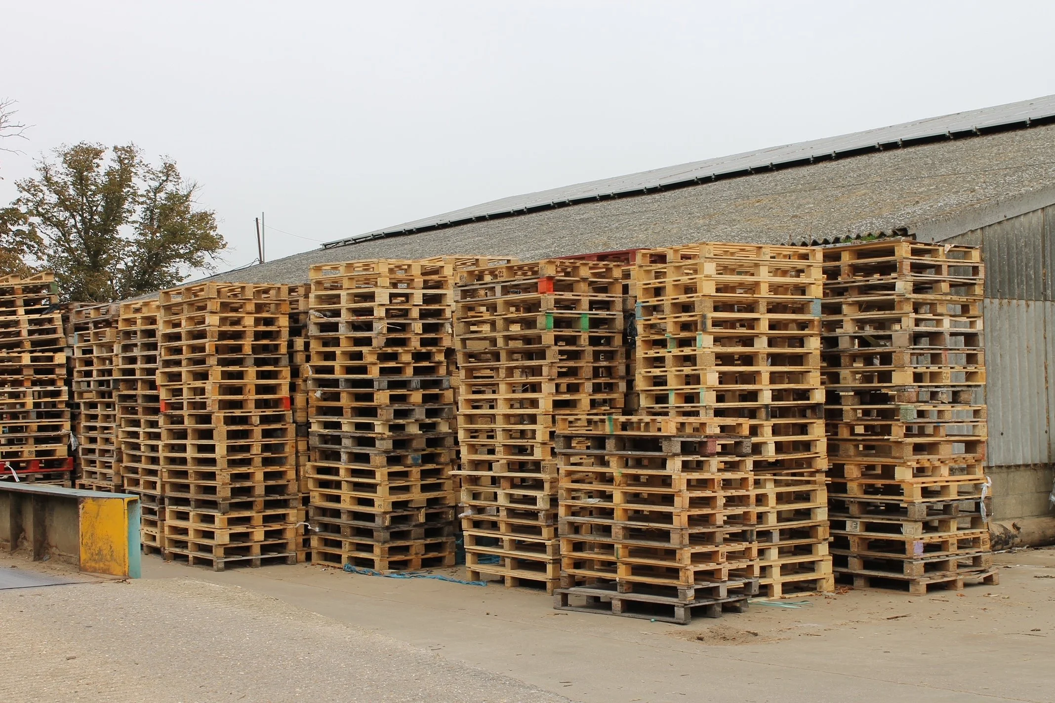 Stacks of wooden pallets arranged outside near an industrial building with a sloped roof and a leafless tree in the background.