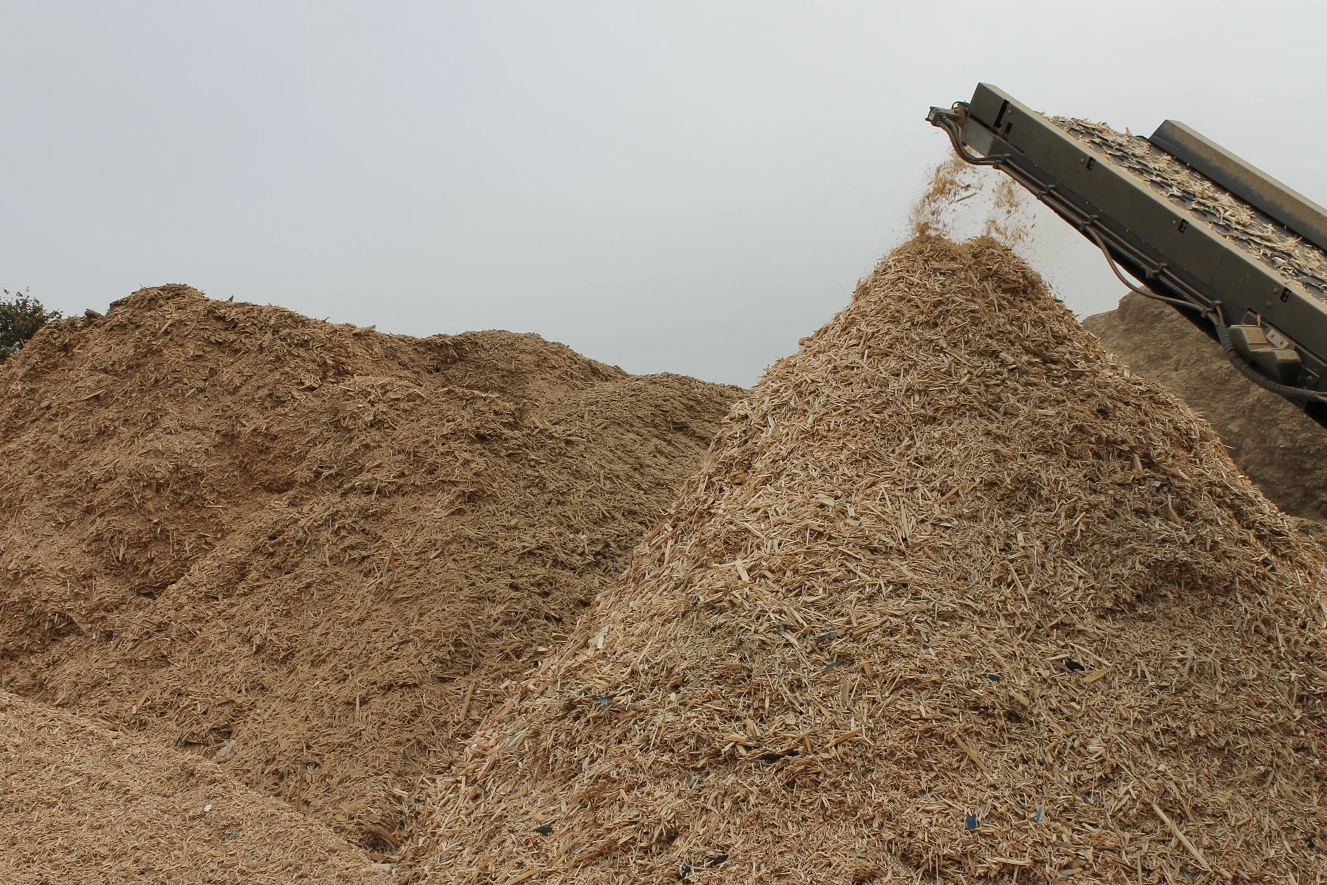 Large piles of wood chips or mulch with a conveyor belt dumping more wood chips onto one of the piles.