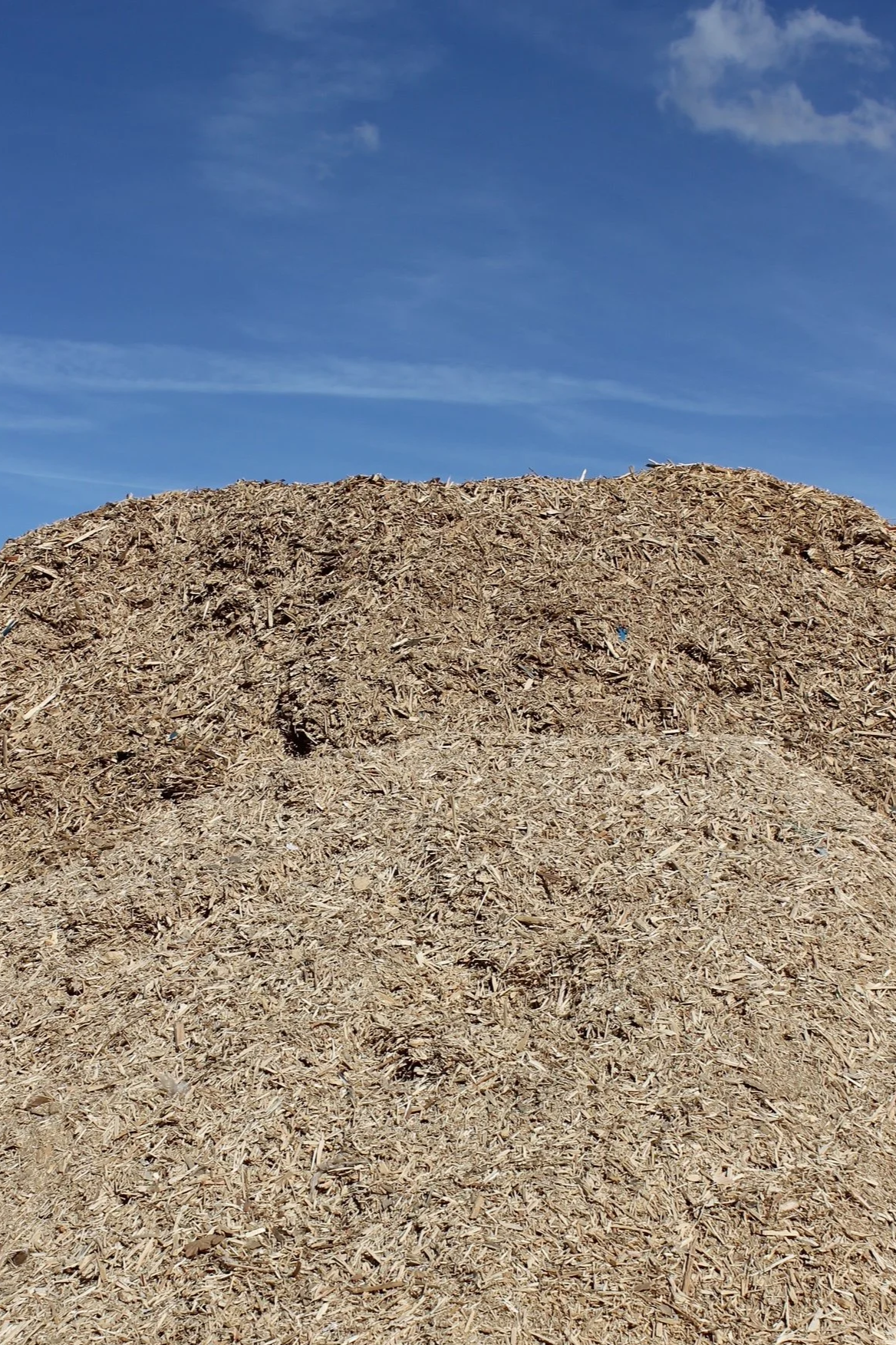 A large pile of wood chips or mulch outdoors under a blue sky with some clouds.