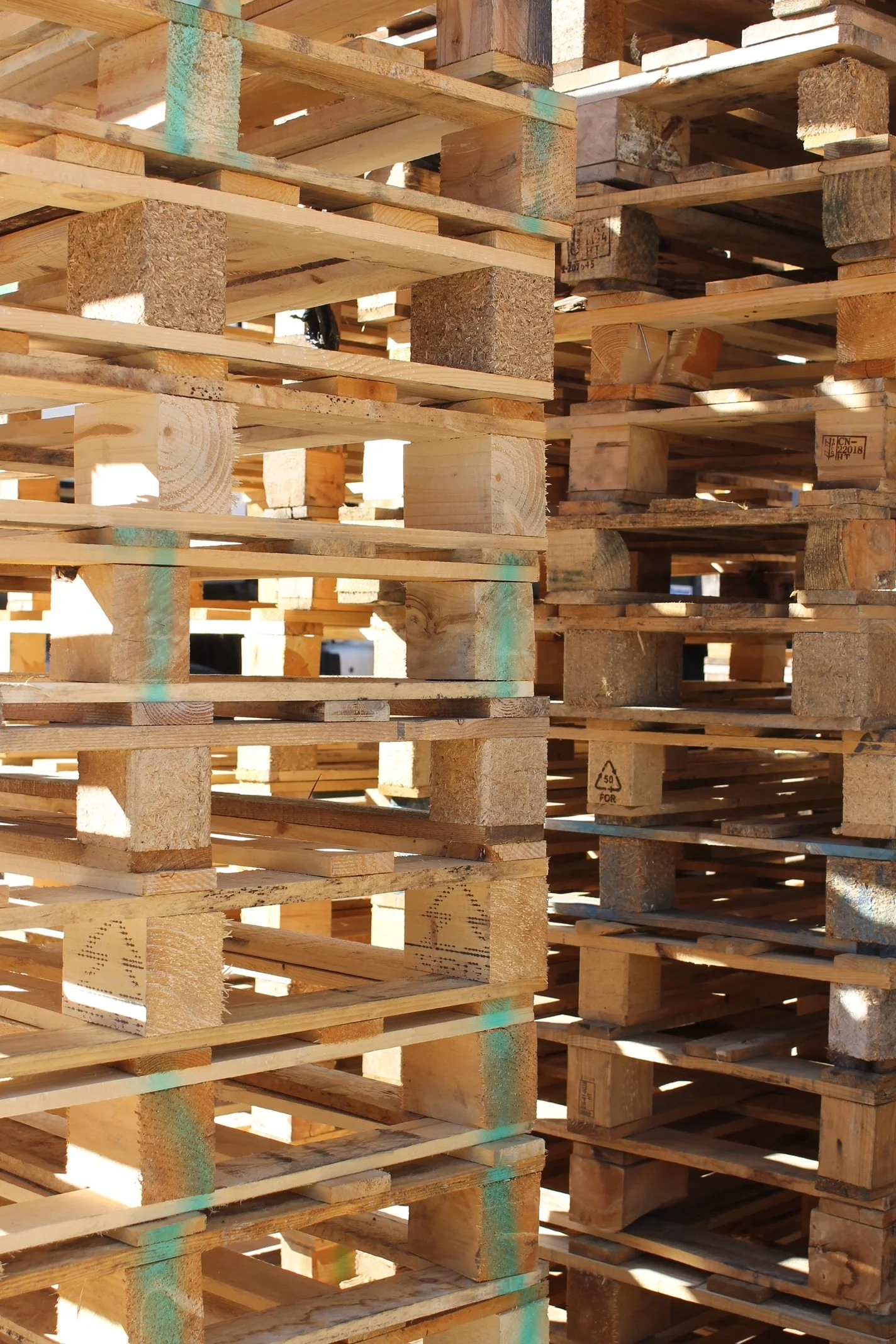 Stacks of wood pallets arranged in a storage area under sunlight.