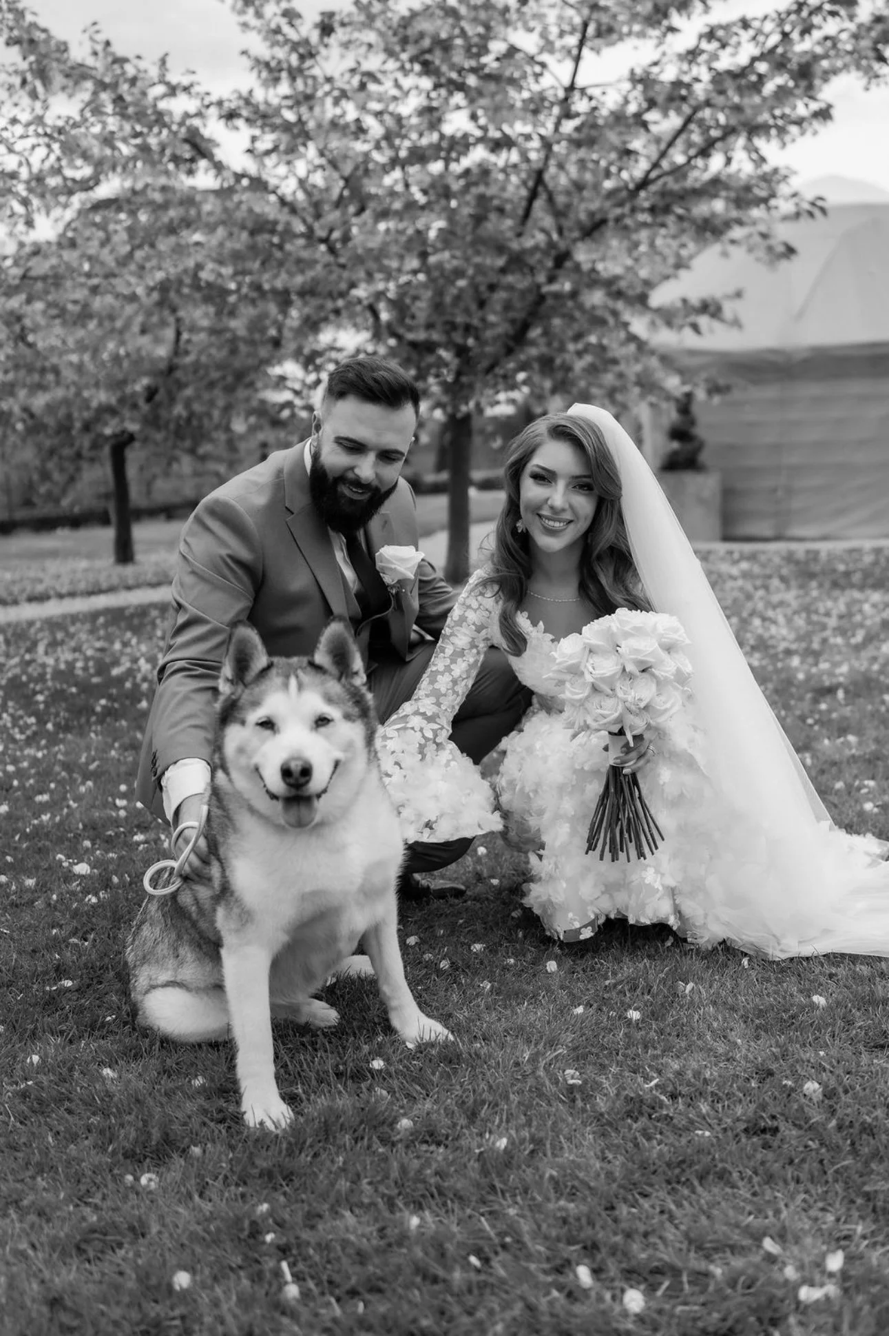A black and white photo of a bride and groom outdoors, kneeling with a Siberian husky dog in front. The bride holds a bouquet of roses and wears a wedding dress and veil. The groom is dressed in a suit with a boutonniere. There is a tree with leaves and a building in the background.