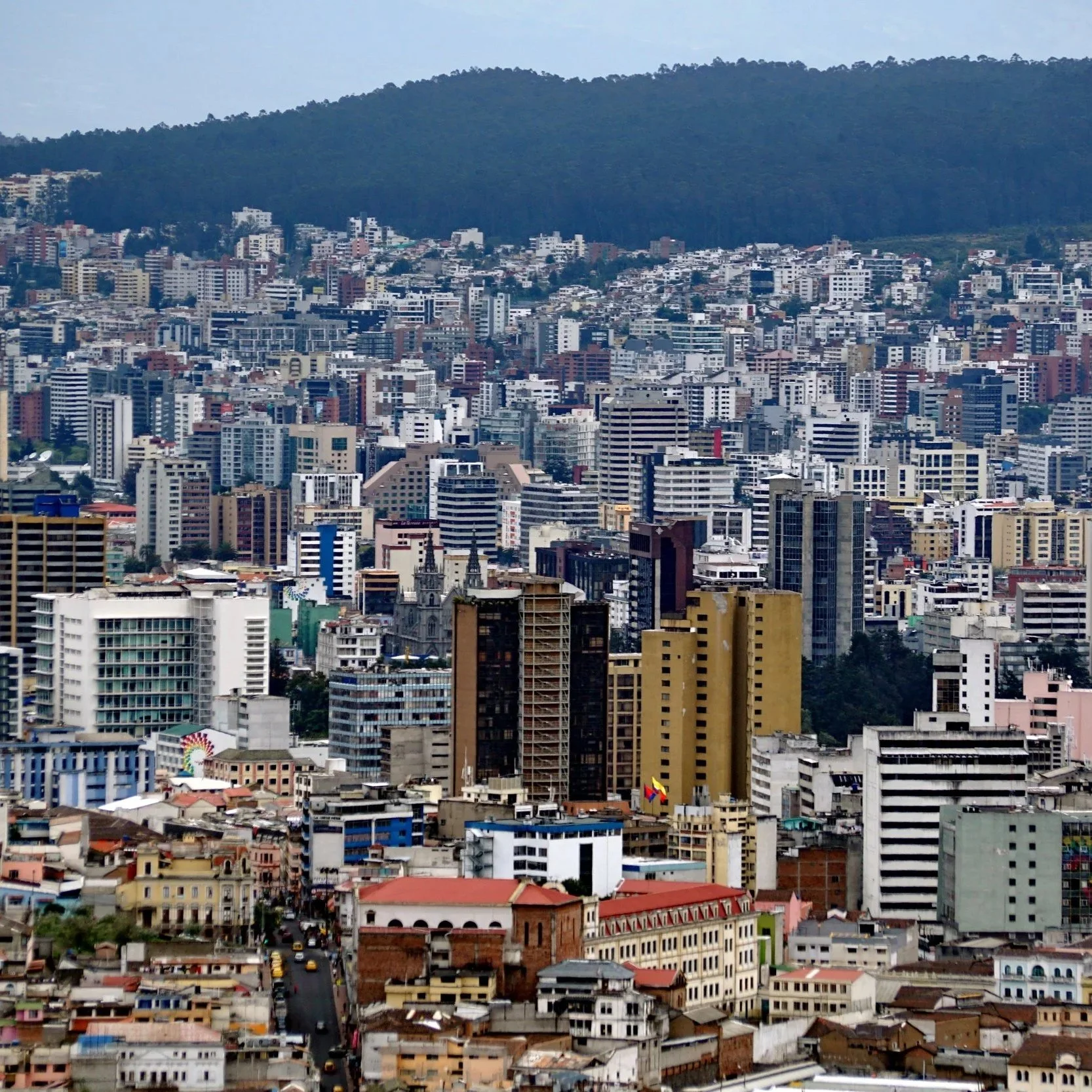 Panoramic view of a densely populated city with numerous high-rise buildings, residential apartments, and commercial structures, set against a backdrop of green hills.