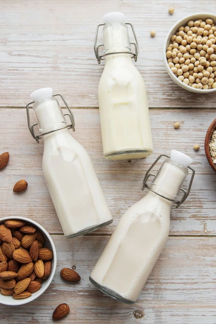 Vegan Milk 33 Recipes for Plant Based Milk.jpeg