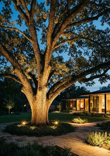 Gran árbol en un jardín iluminado por luces en la noche, con una casa moderna de fondo.