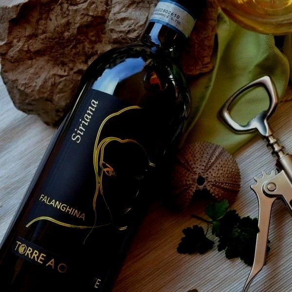 falanghina.jpg