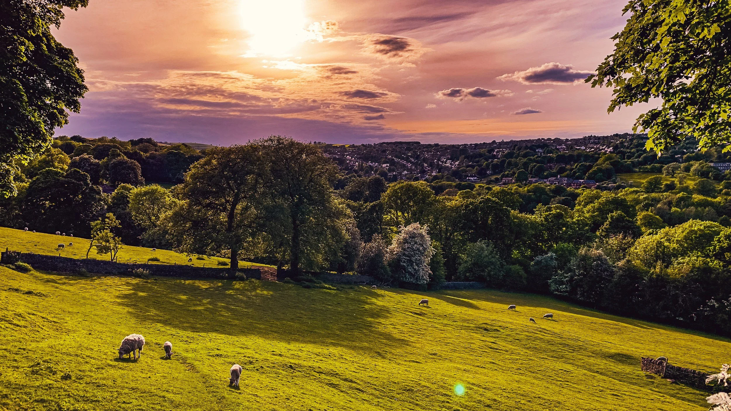 A scenic landscape of green pastures with grazing sheep, surrounded by trees and rolling hills, during sunset with a colorful sky and clouds.