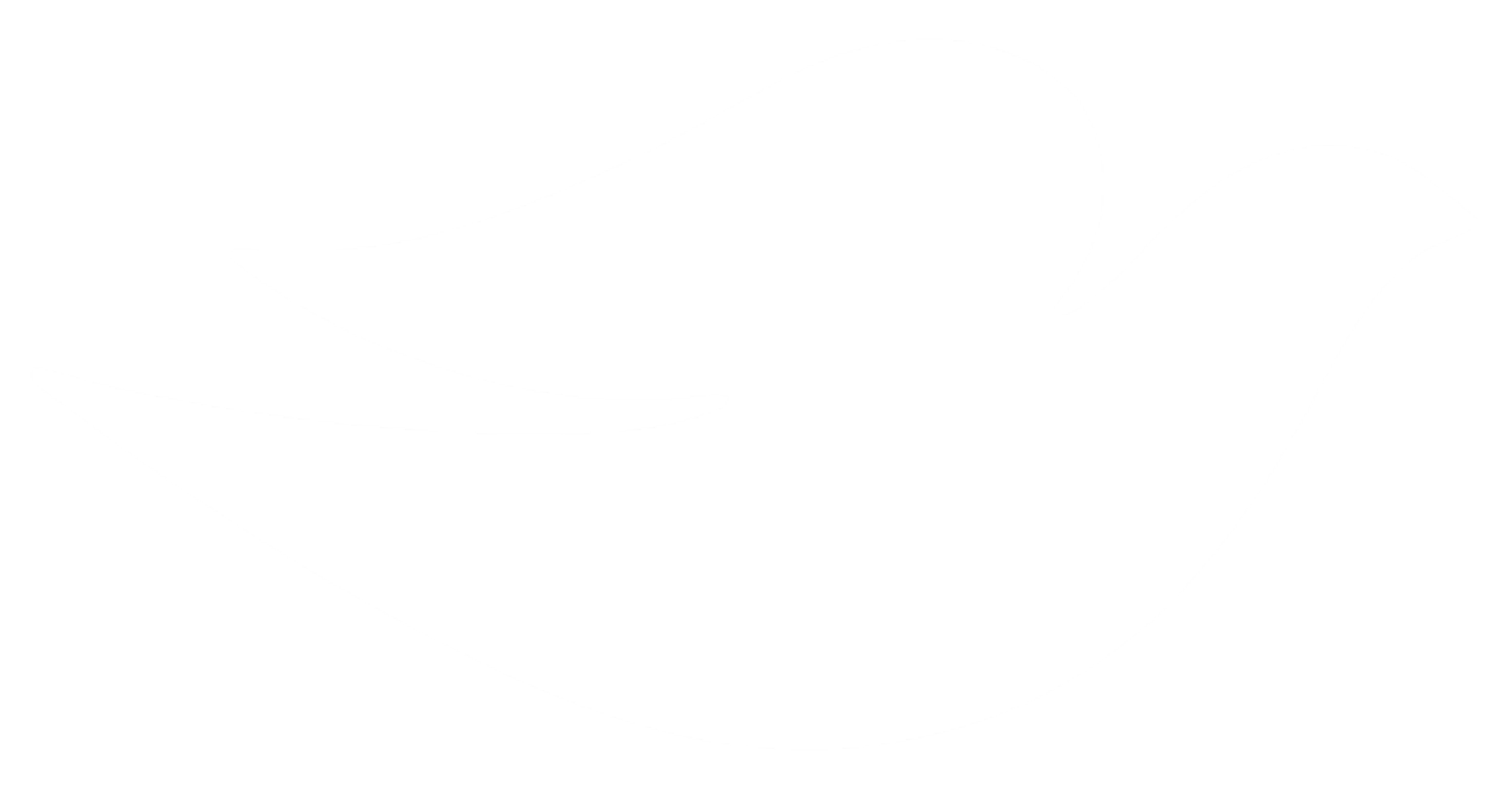 The image displays a distorted or glitched view of a close-up of a white and black object, making it difficult to identify clearly.