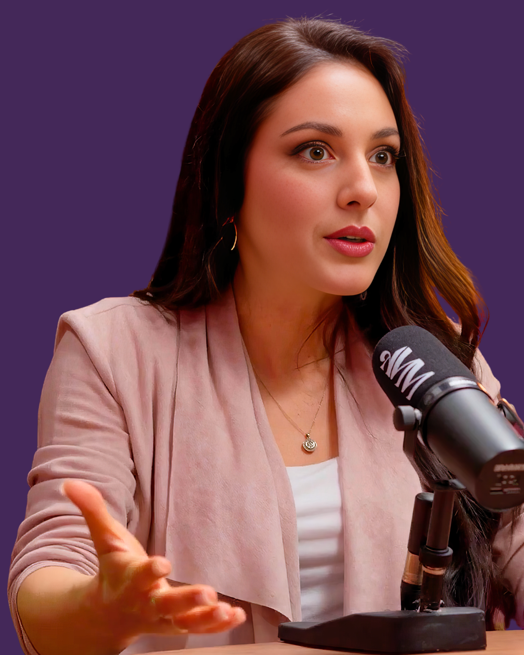A woman speaking into a microphone during an interview or radio broadcast, gesturing with her hand.