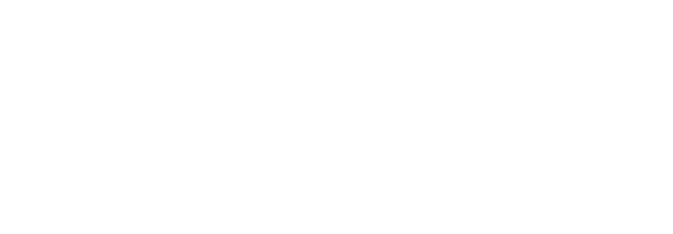 Text displaying 'Wellness Energy Festival 2027' on a black background.