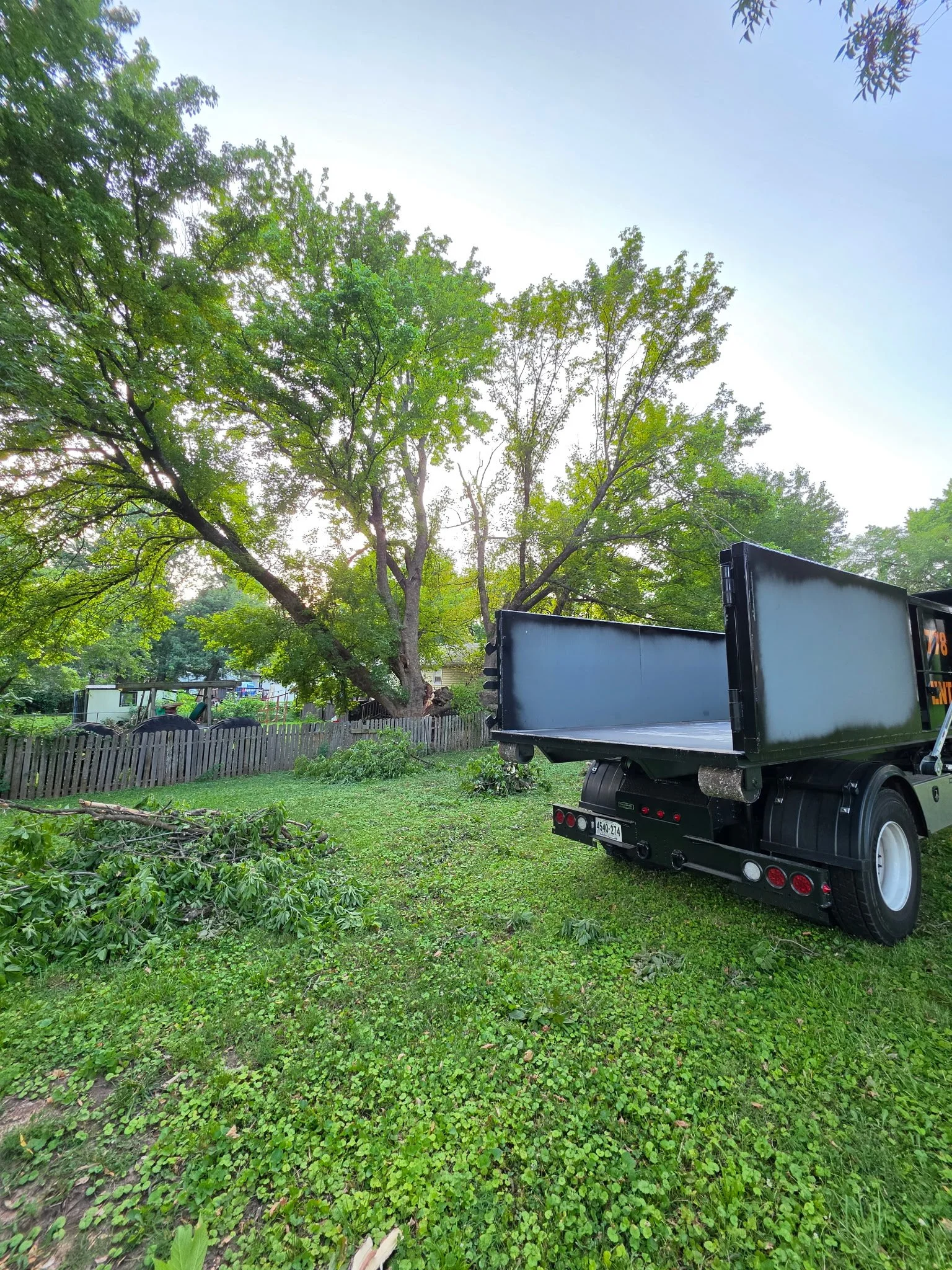 A yard with green grass, weeds, and small plants, a fallen branch, a large tree with dense green leaves, a wooden fence, and a black truck with open cargo bed.