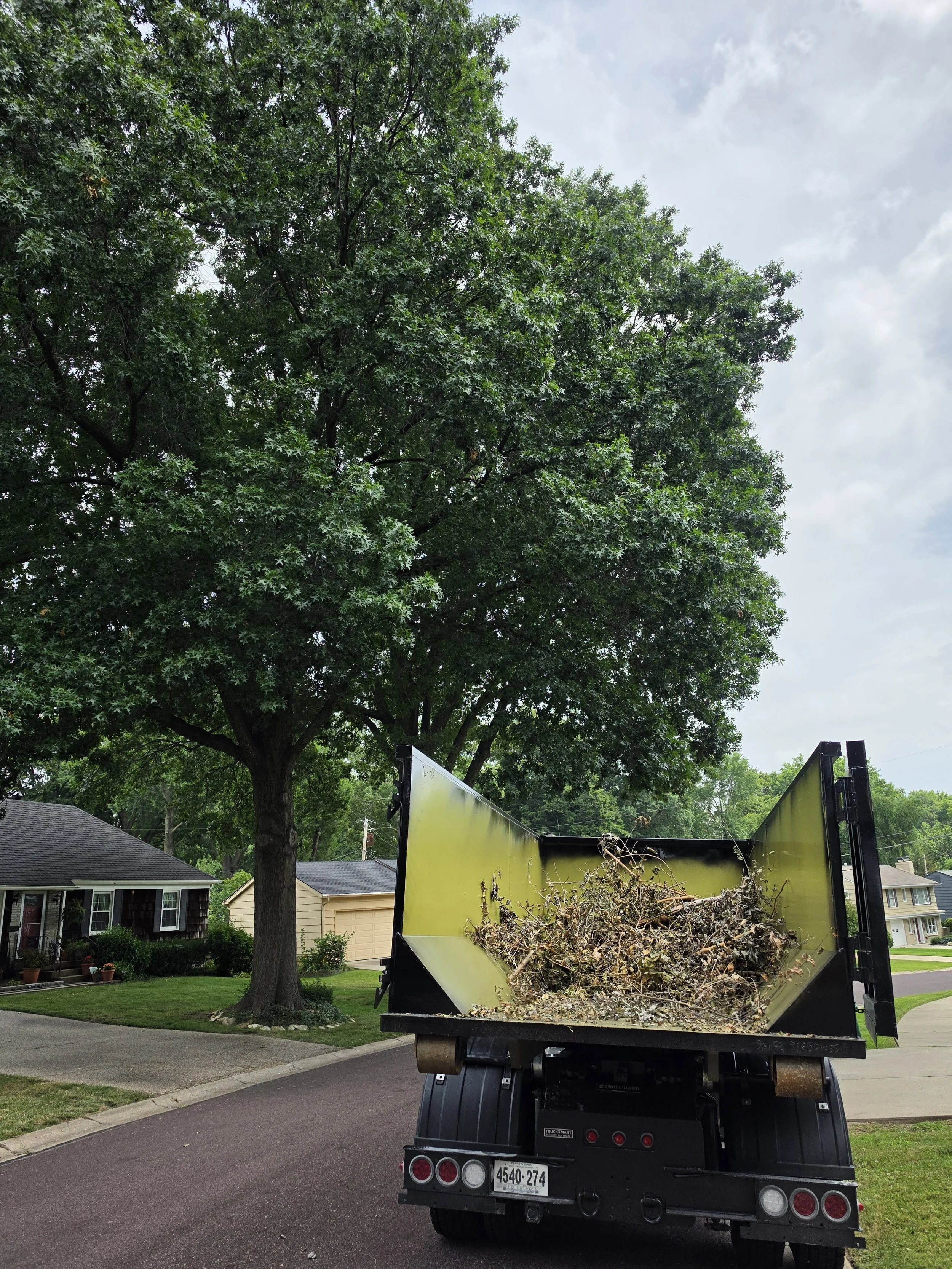 A yellow garbage truck filled with yard debris parked on a residential street, with a large leafy tree, houses, and a cloudy sky in the background.